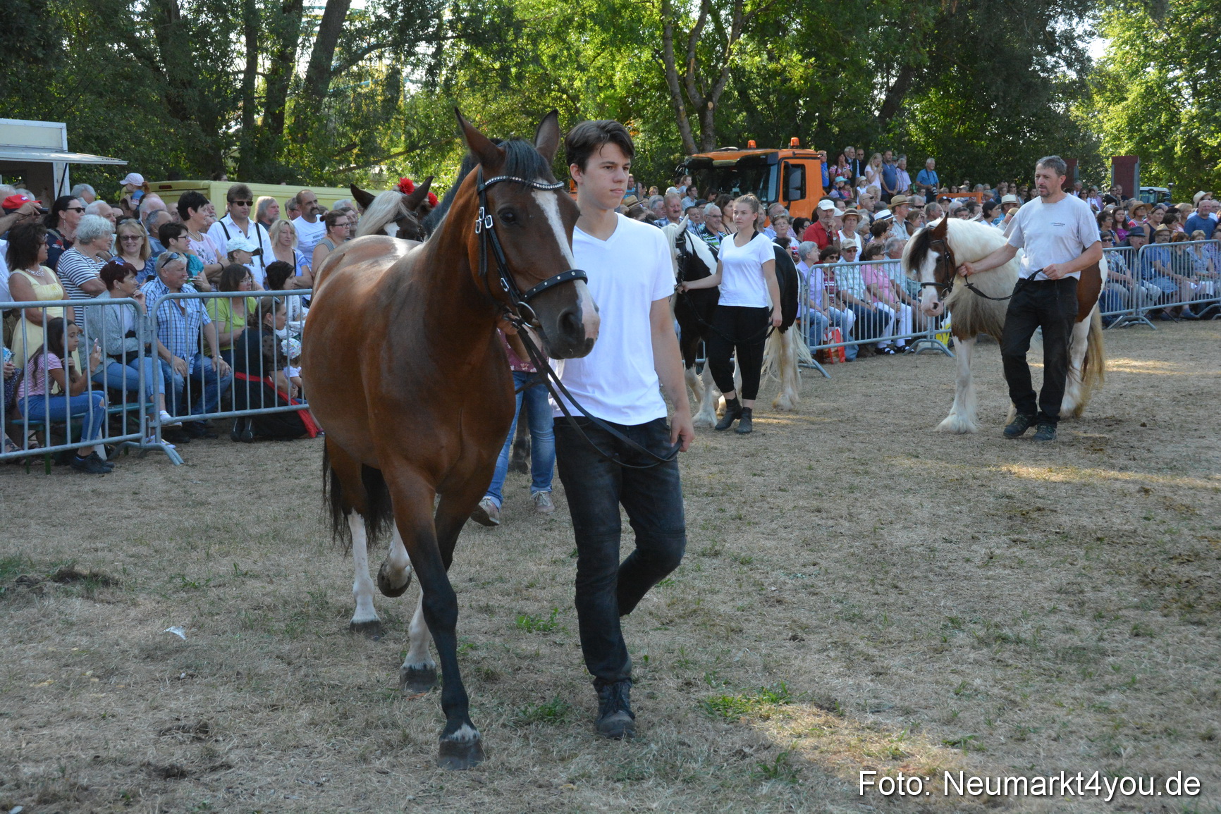 Pferde und Fohlenschau JURA Volksfest 2018 0134