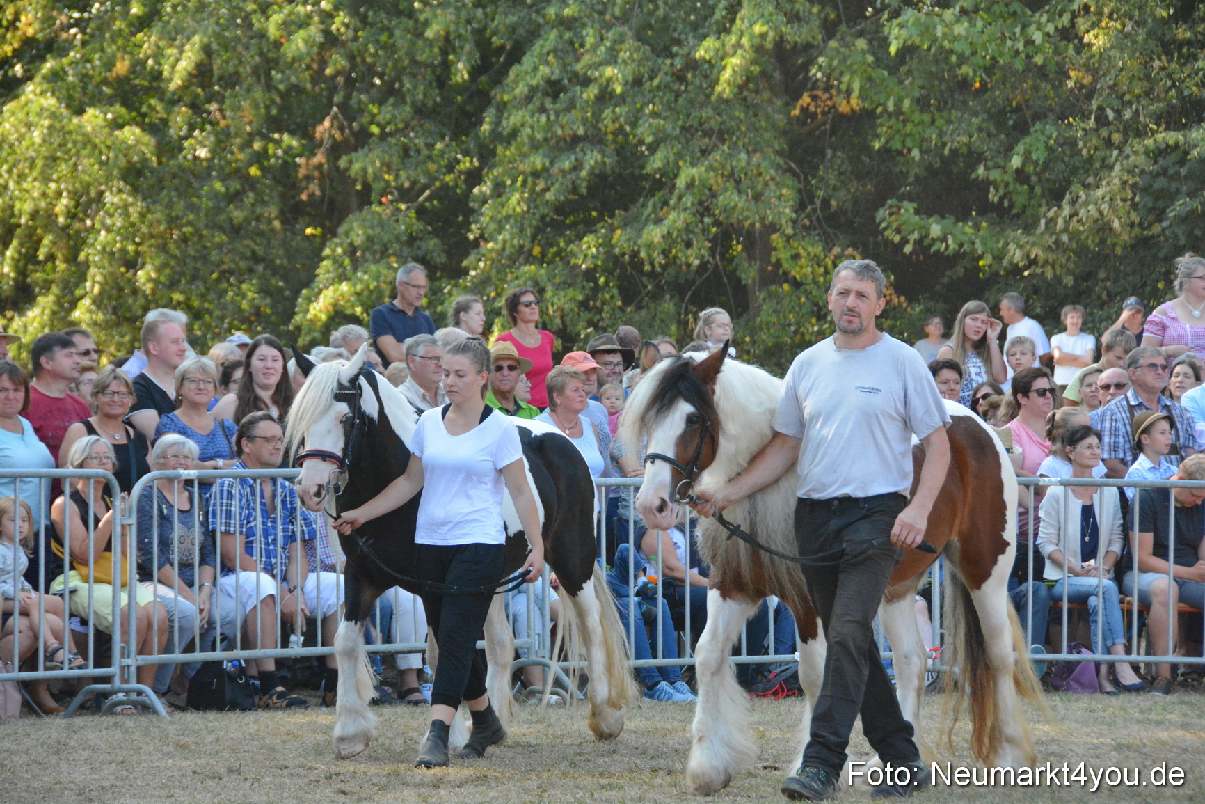 Pferde und Fohlenschau JURA Volksfest 2018 0140