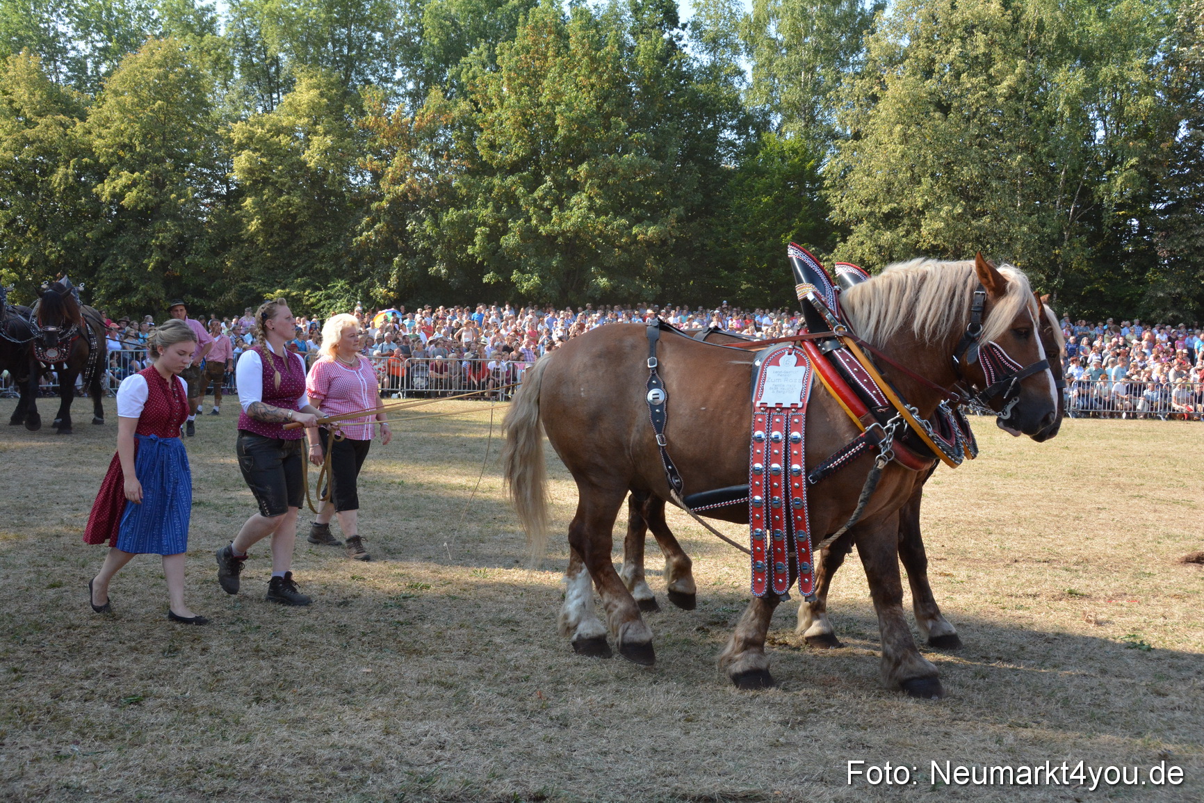 Pferde und Fohlenschau JURA Volksfest 2018 0141