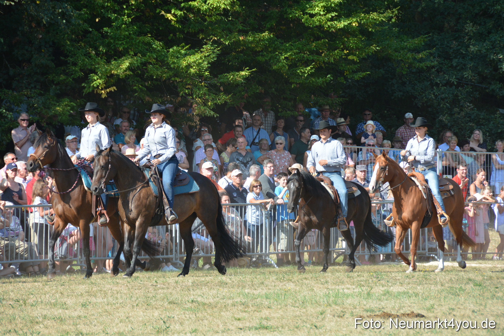 Pferde und Fohlenschau JURA Volksfest 2018 0142