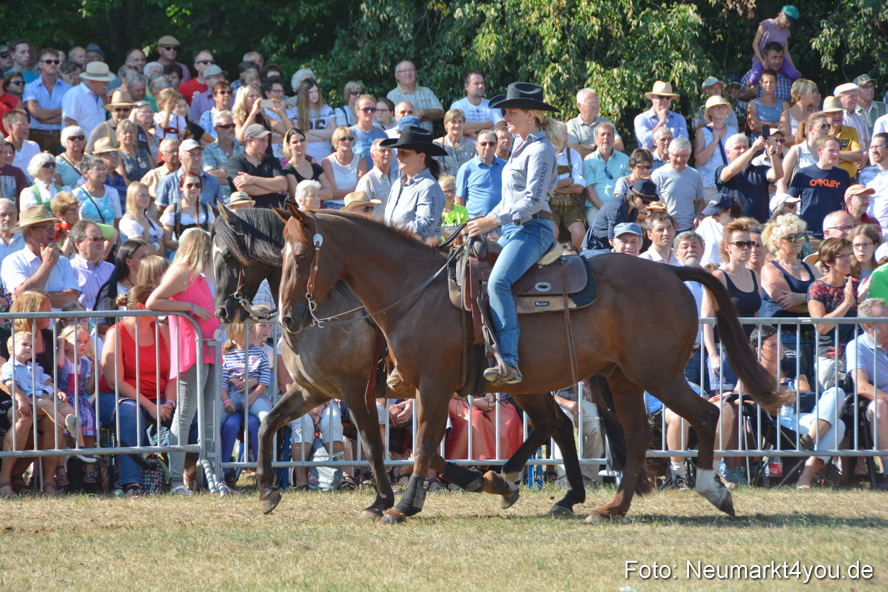 Pferde und Fohlenschau JURA Volksfest 2018 0143