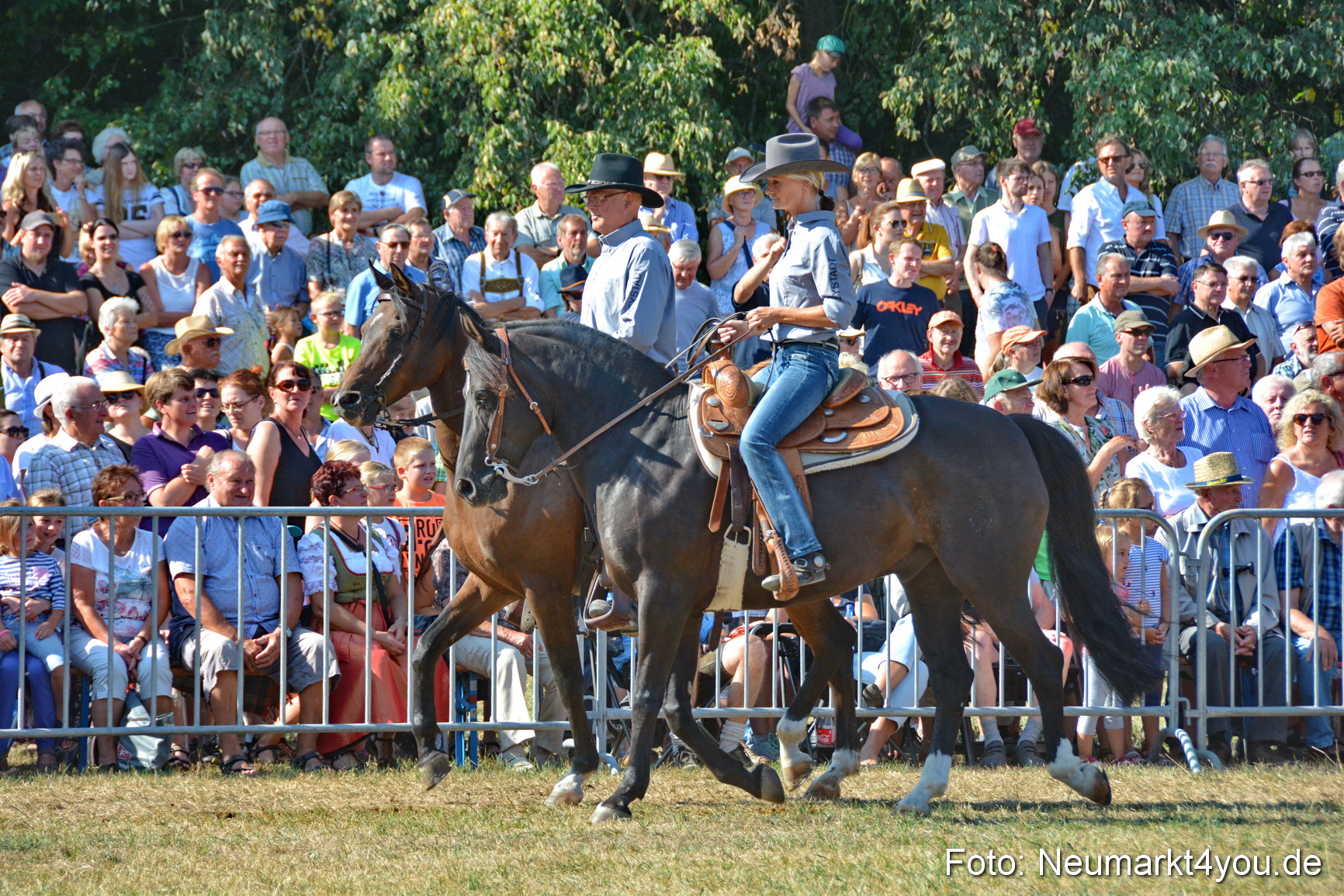 Pferde und Fohlenschau JURA Volksfest 2018 0144