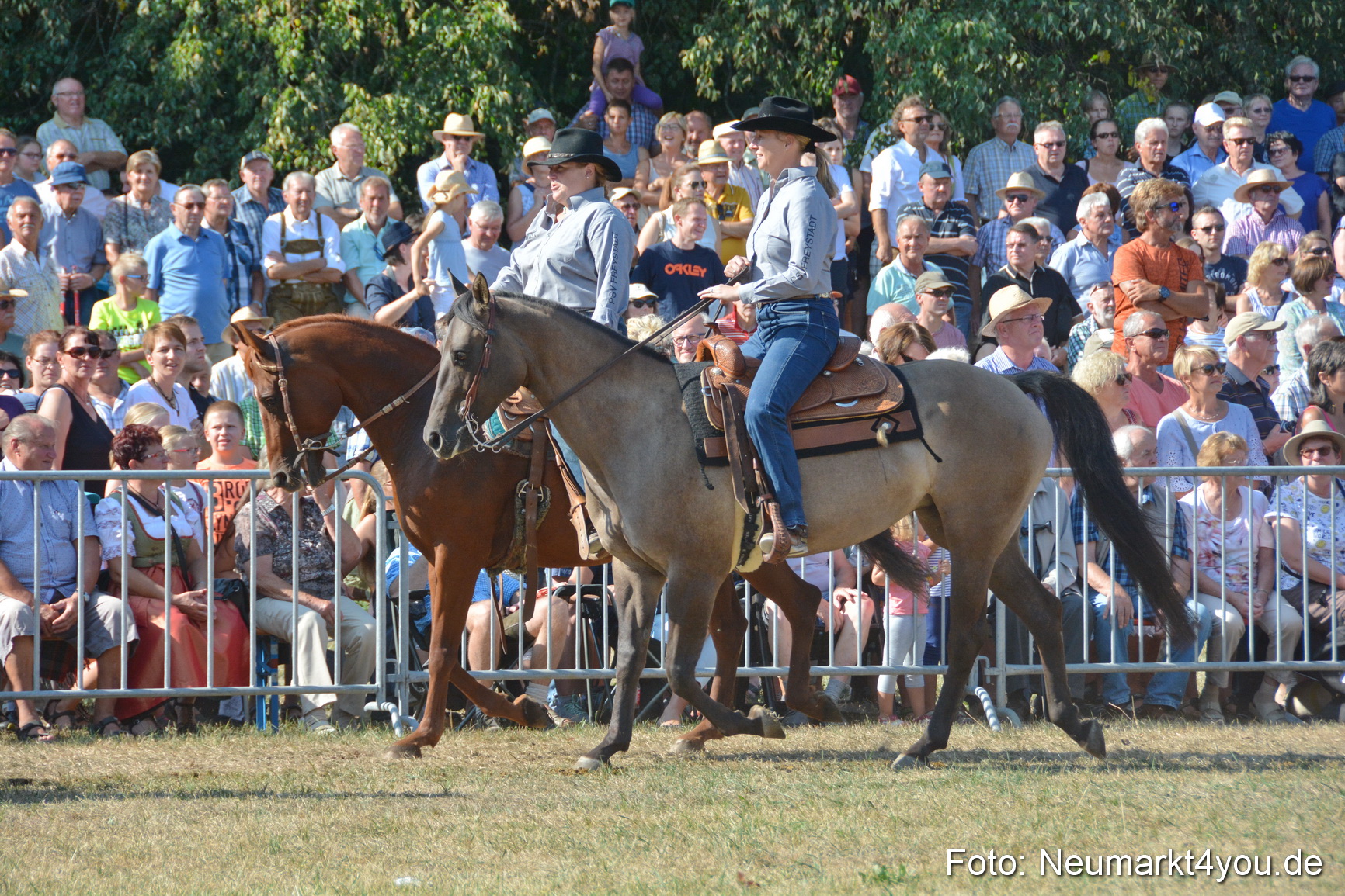 Pferde und Fohlenschau JURA Volksfest 2018 0145