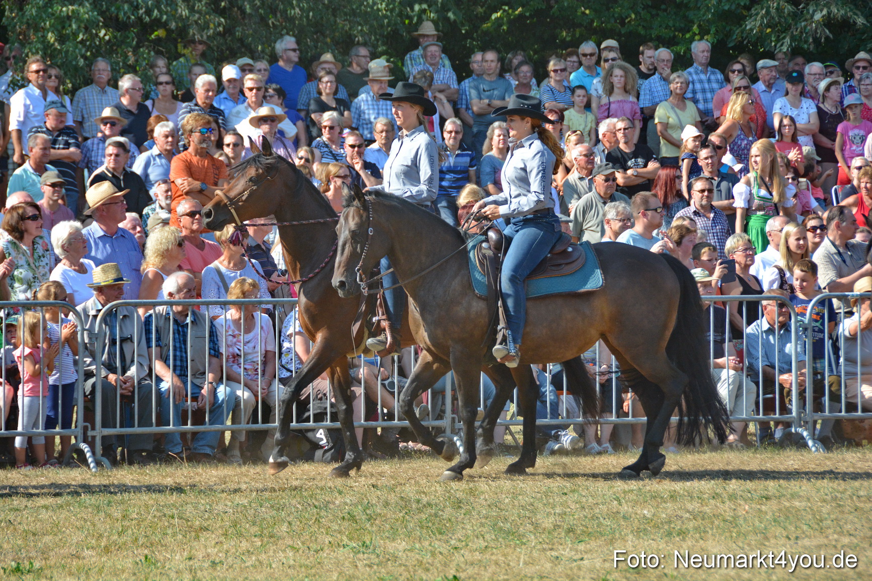 Pferde und Fohlenschau JURA Volksfest 2018 0146