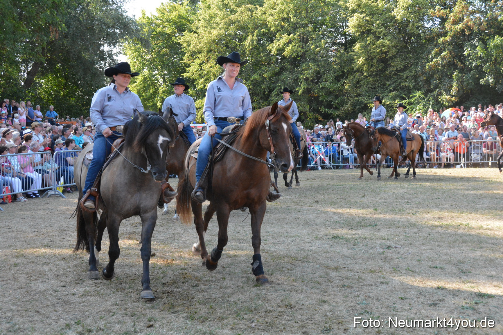 Pferde und Fohlenschau JURA Volksfest 2018 0147