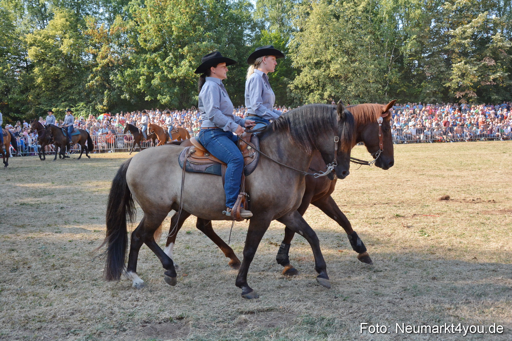 Pferde und Fohlenschau JURA Volksfest 2018 0148