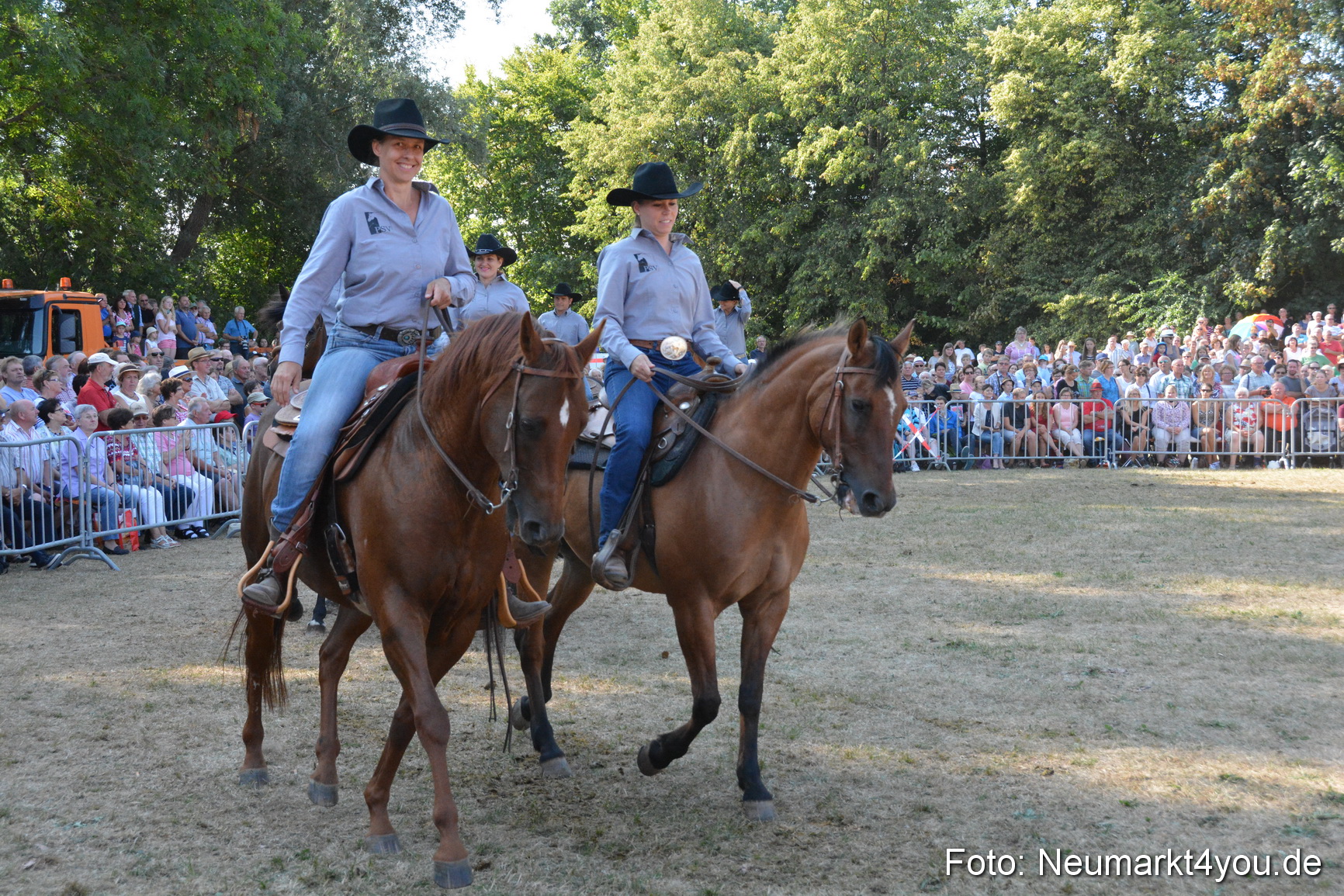 Pferde und Fohlenschau JURA Volksfest 2018 0150