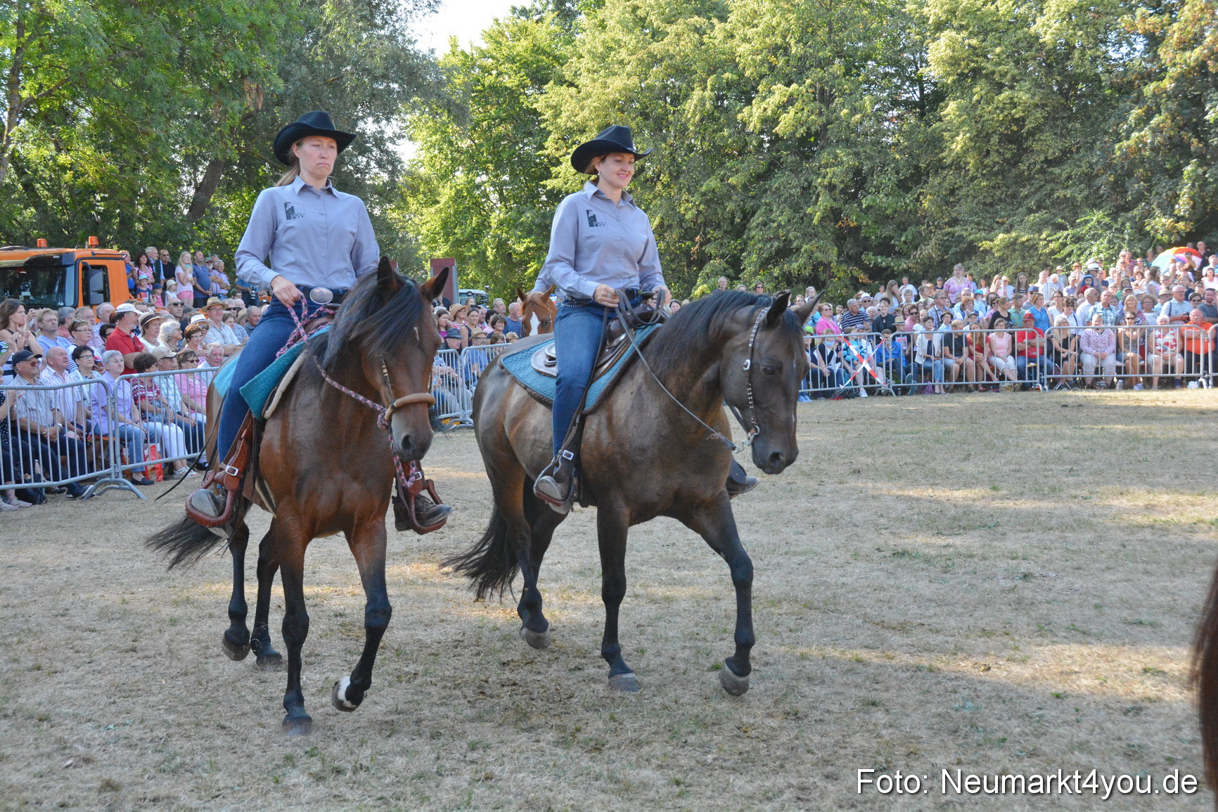 Pferde und Fohlenschau JURA Volksfest 2018 0151