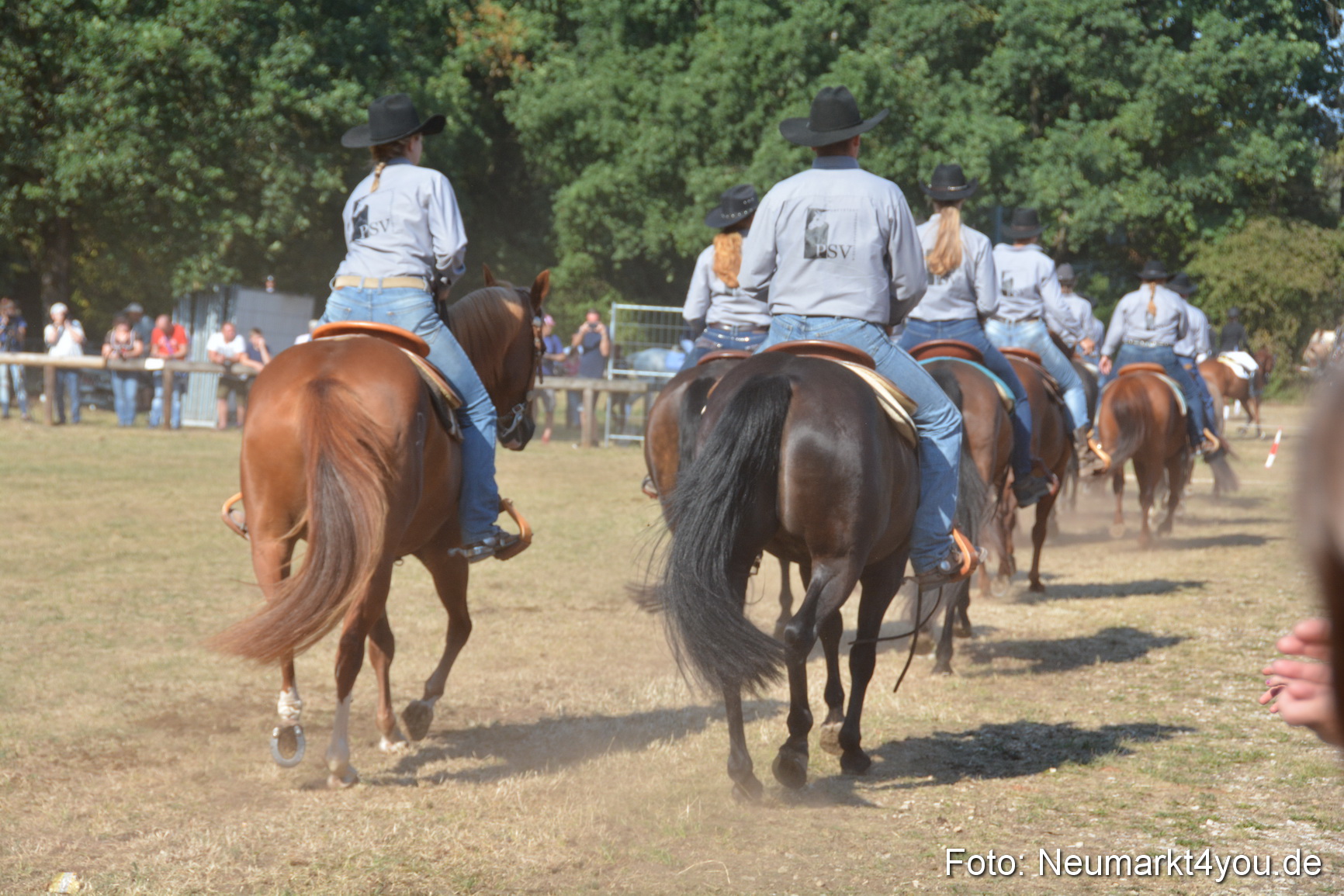 Pferde und Fohlenschau JURA Volksfest 2018 0153