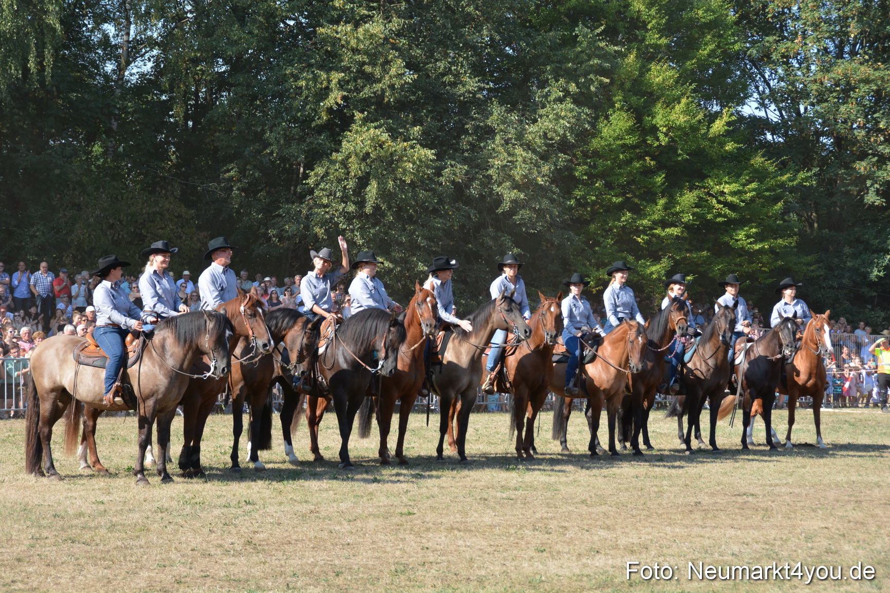 Pferde und Fohlenschau JURA Volksfest 2018 0154