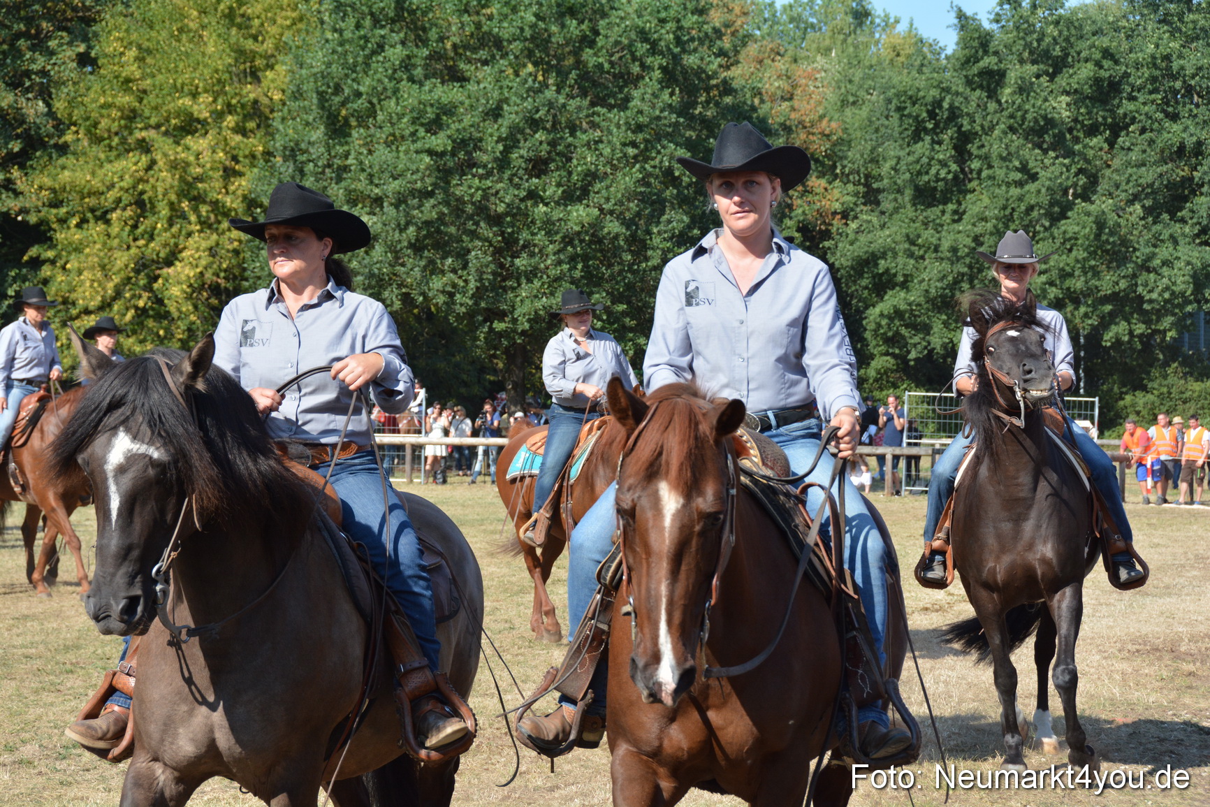 Pferde und Fohlenschau JURA Volksfest 2018 0155