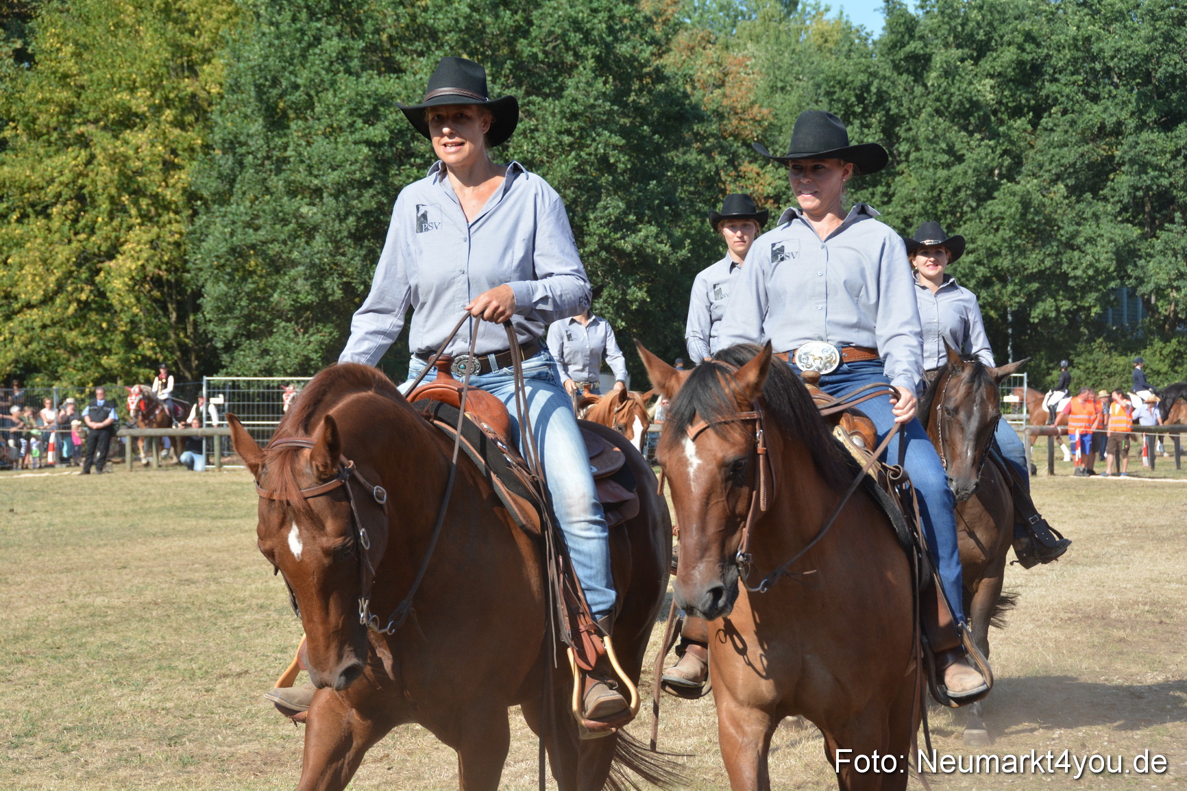 Pferde und Fohlenschau JURA Volksfest 2018 0158