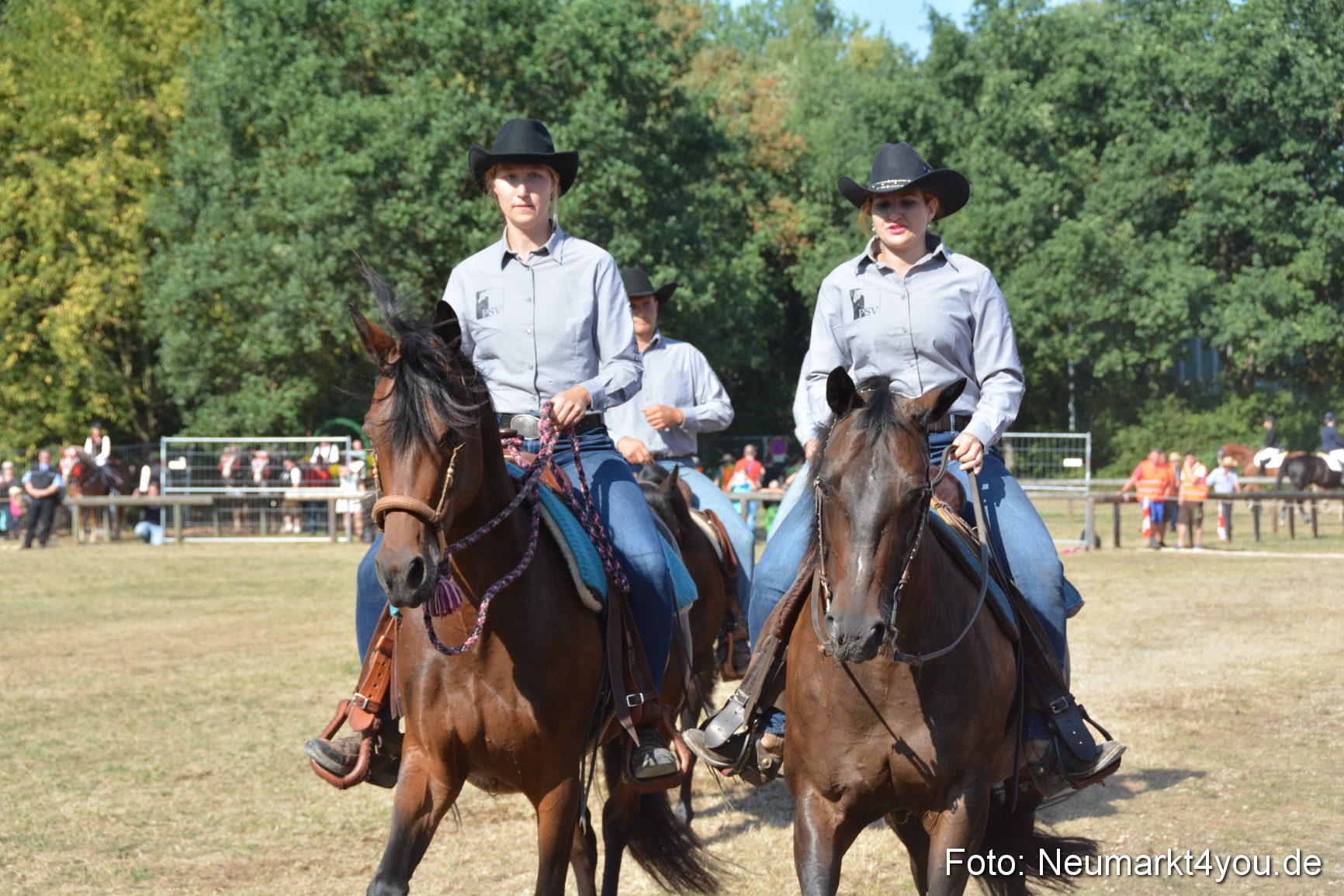 Pferde und Fohlenschau JURA Volksfest 2018 0159