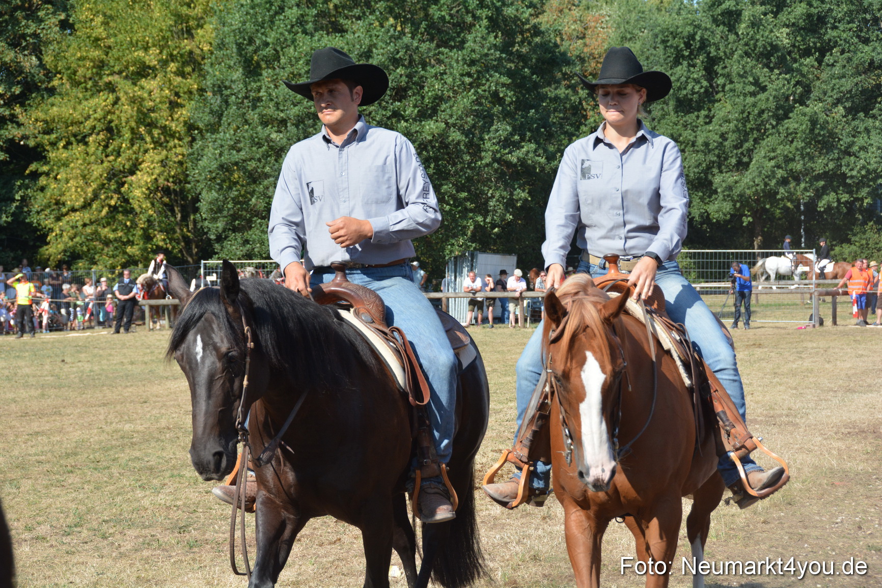 Pferde und Fohlenschau JURA Volksfest 2018 0160