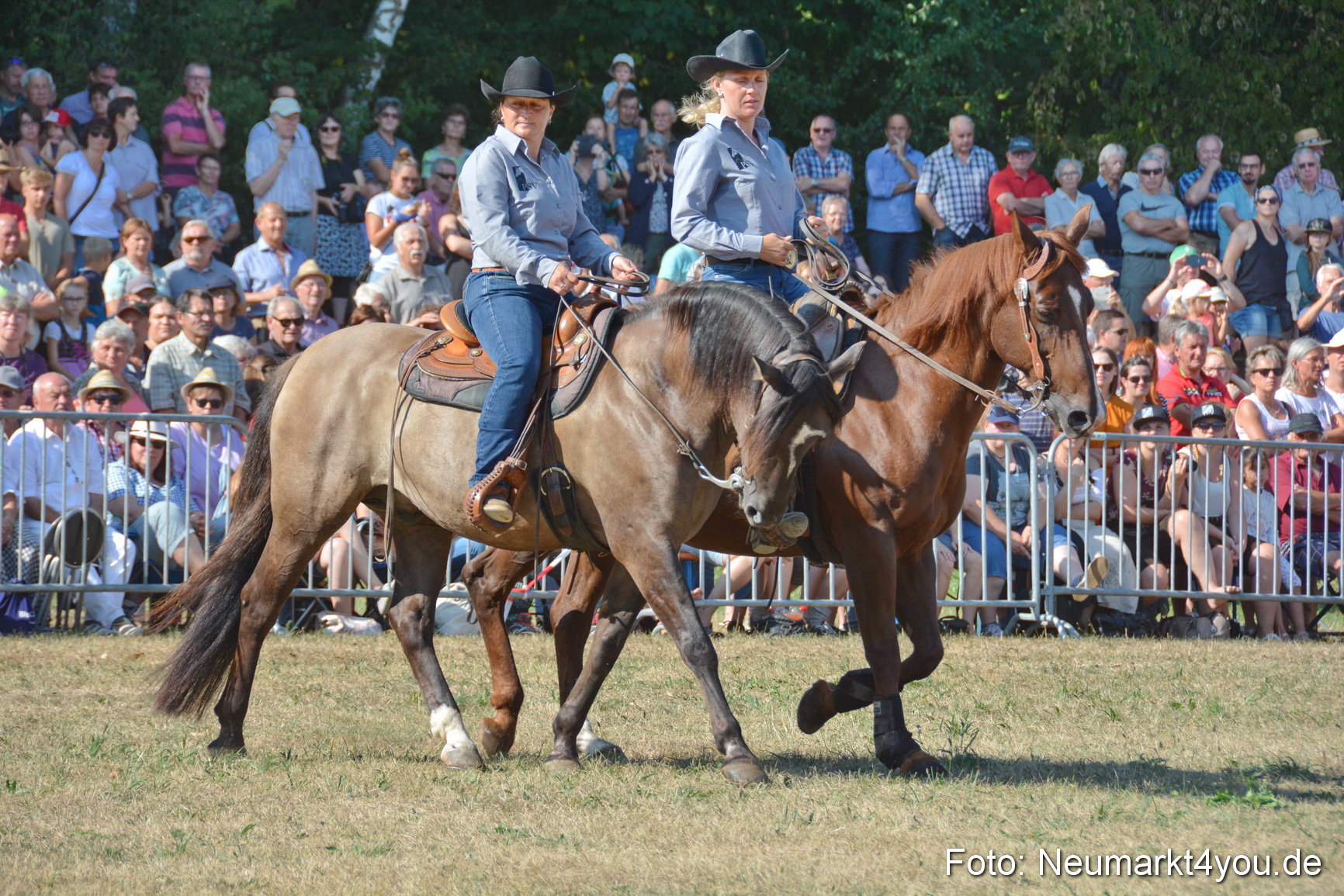 Pferde und Fohlenschau JURA Volksfest 2018 0161