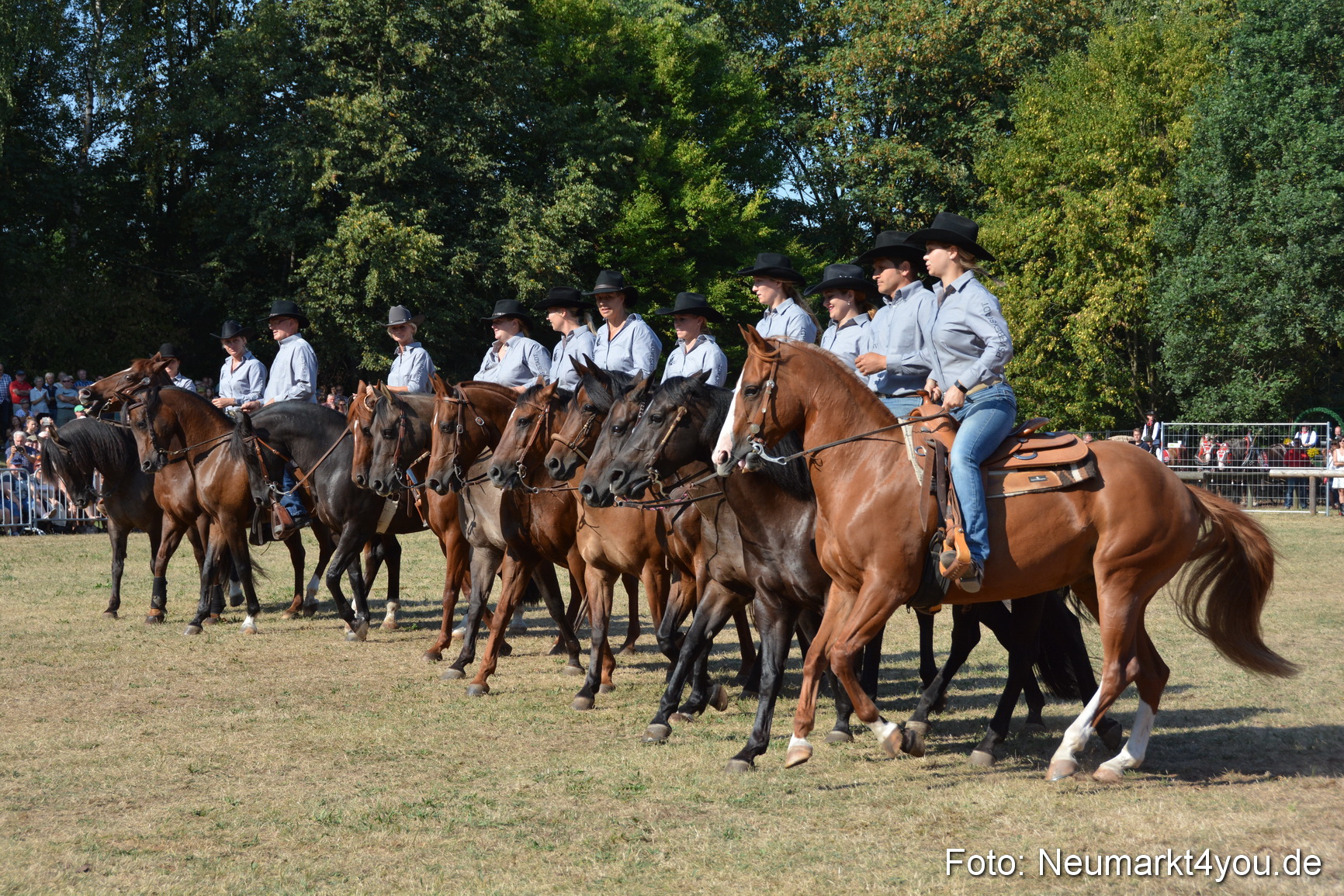Pferde und Fohlenschau JURA Volksfest 2018 0162