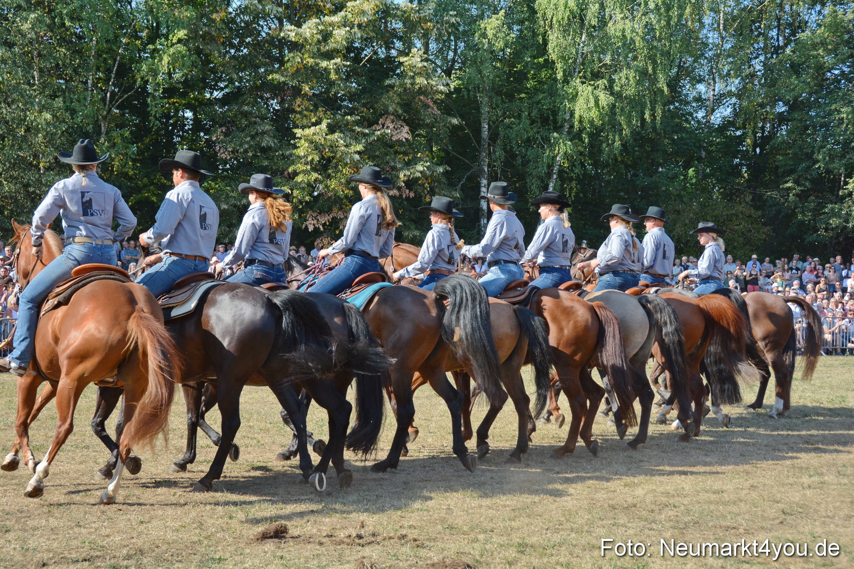 Pferde und Fohlenschau JURA Volksfest 2018 0163