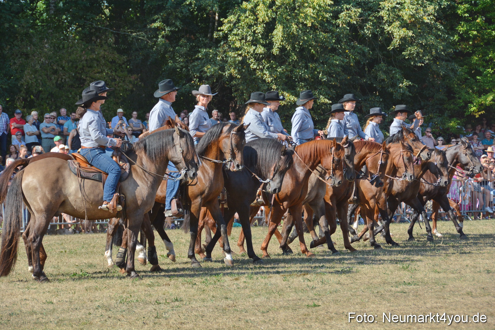 Pferde und Fohlenschau JURA Volksfest 2018 0164