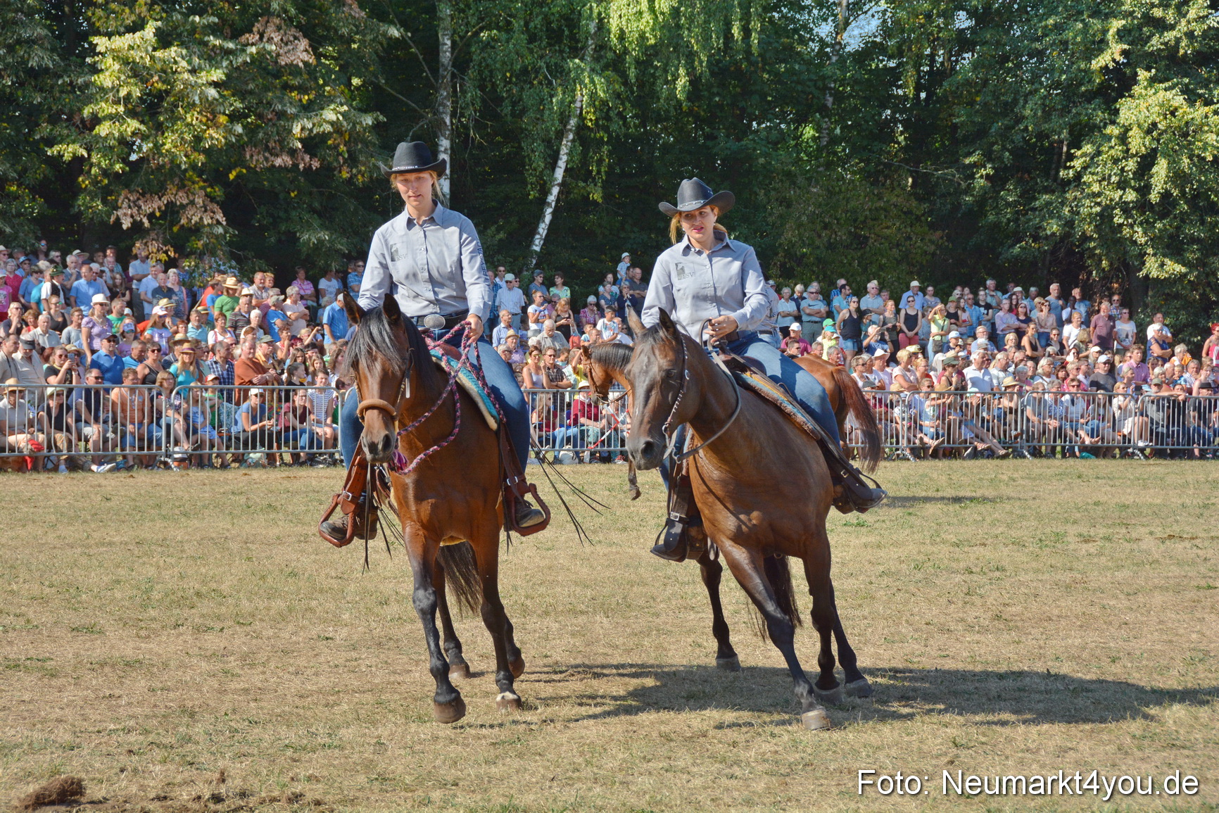 Pferde und Fohlenschau JURA Volksfest 2018 0165
