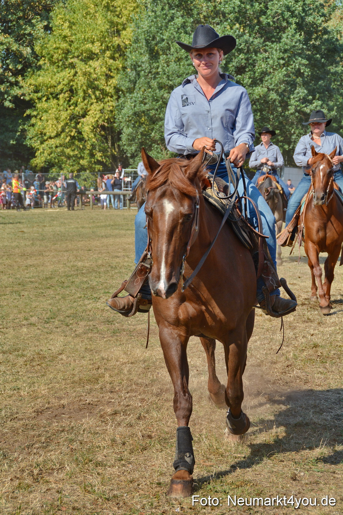 Pferde und Fohlenschau JURA Volksfest 2018 0166