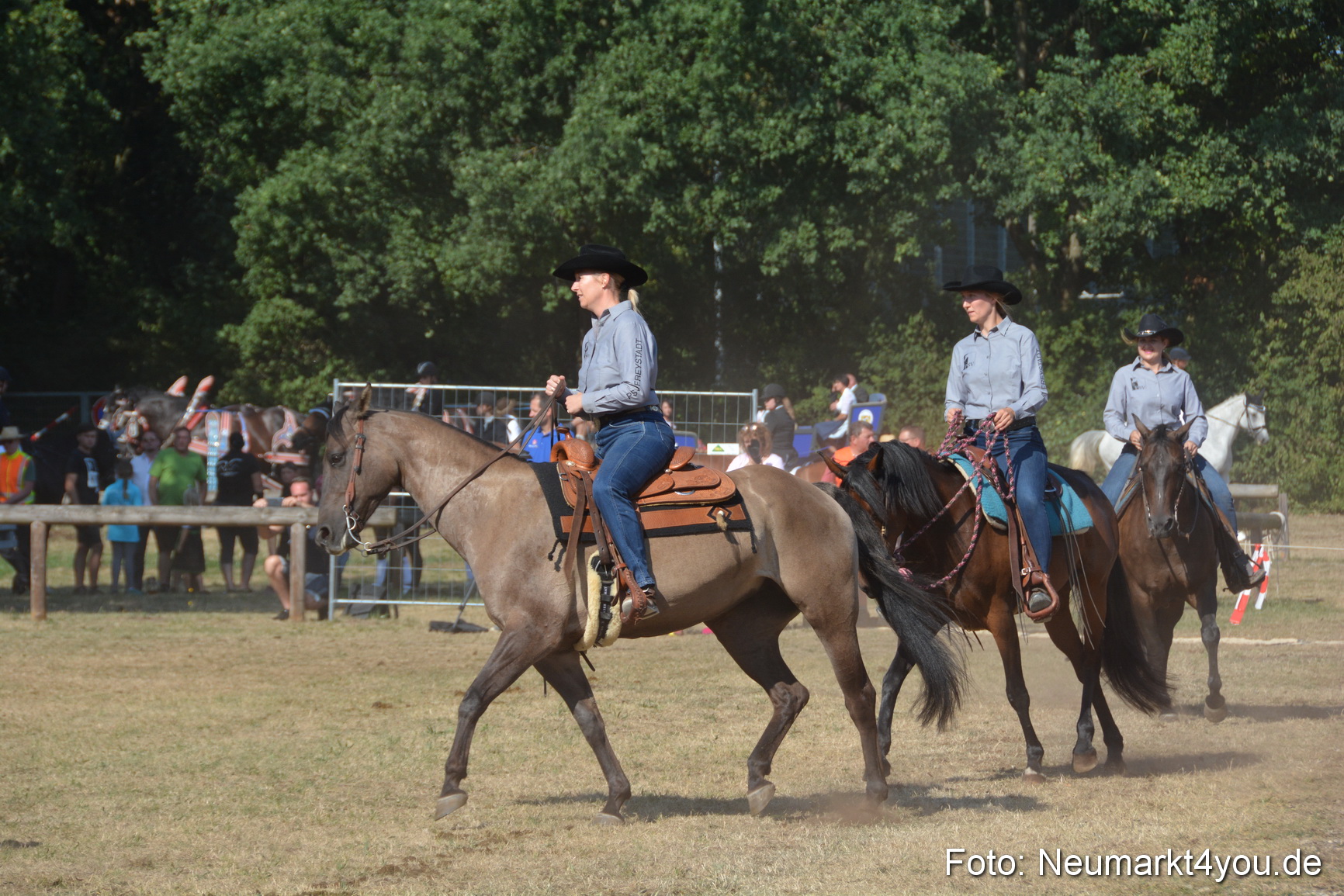 Pferde und Fohlenschau JURA Volksfest 2018 0167