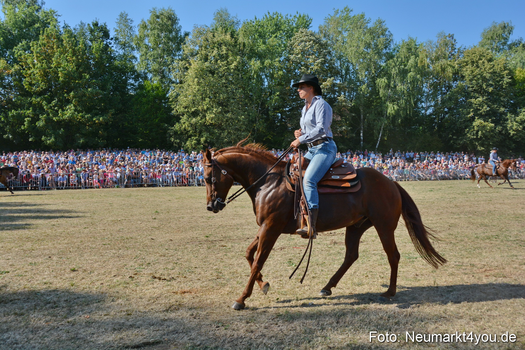 Pferde und Fohlenschau JURA Volksfest 2018 0168