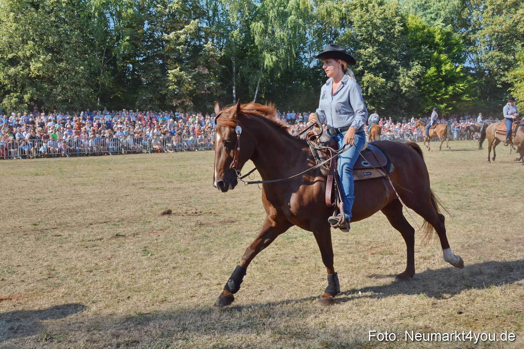Pferde und Fohlenschau JURA Volksfest 2018 0169