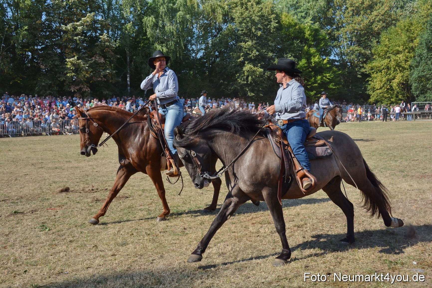Pferde und Fohlenschau JURA Volksfest 2018 0170