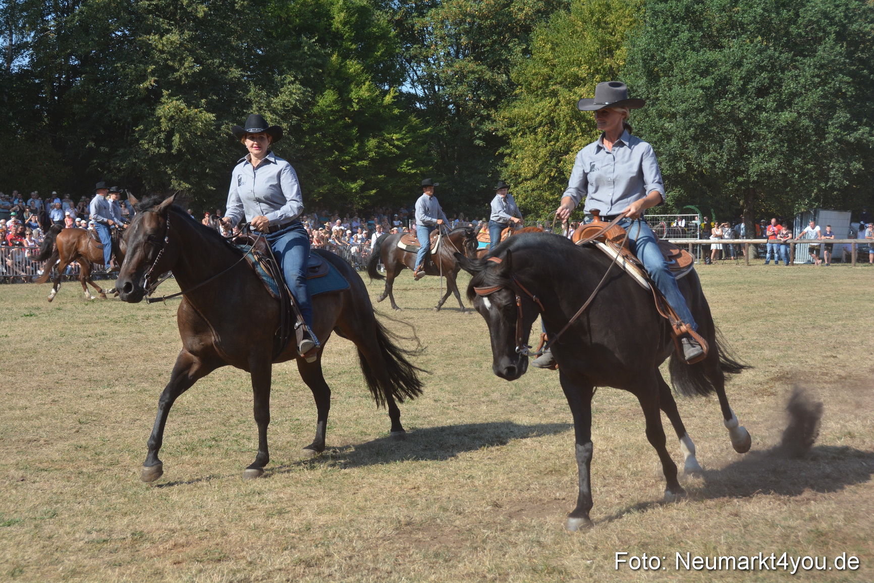 Pferde und Fohlenschau JURA Volksfest 2018 0171