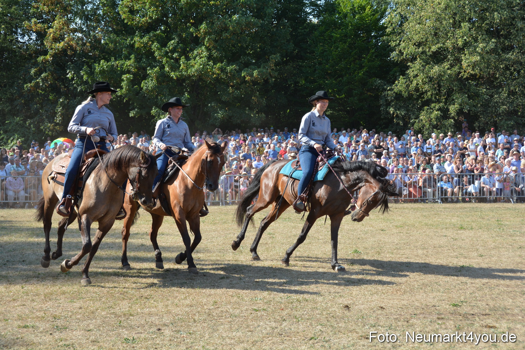 Pferde und Fohlenschau JURA Volksfest 2018 0172