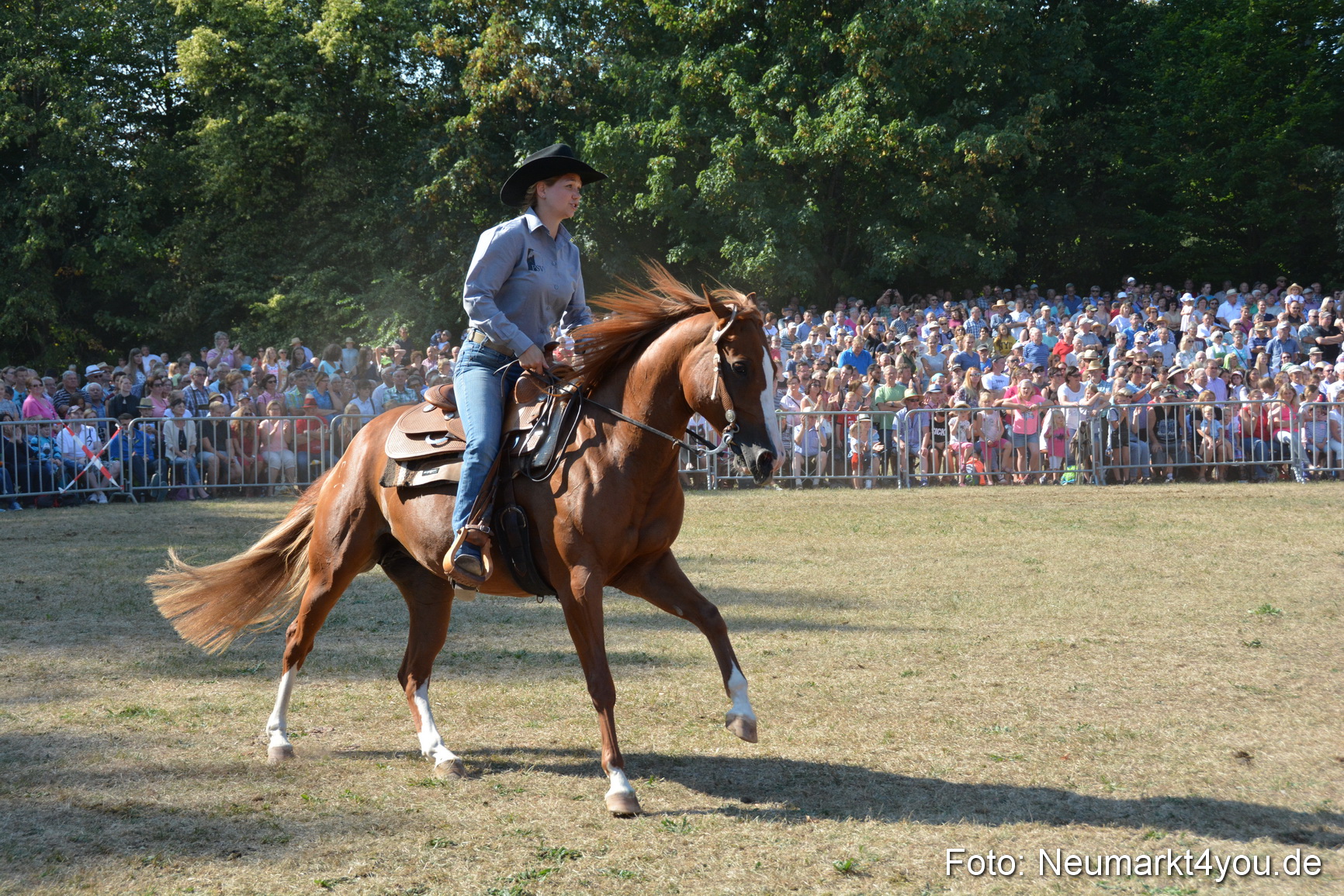 Pferde und Fohlenschau JURA Volksfest 2018 0173