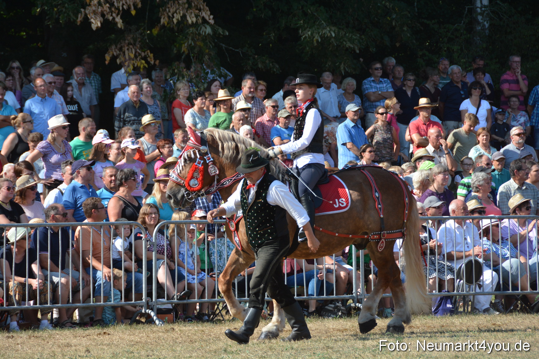 Pferde und Fohlenschau JURA Volksfest 2018 0175