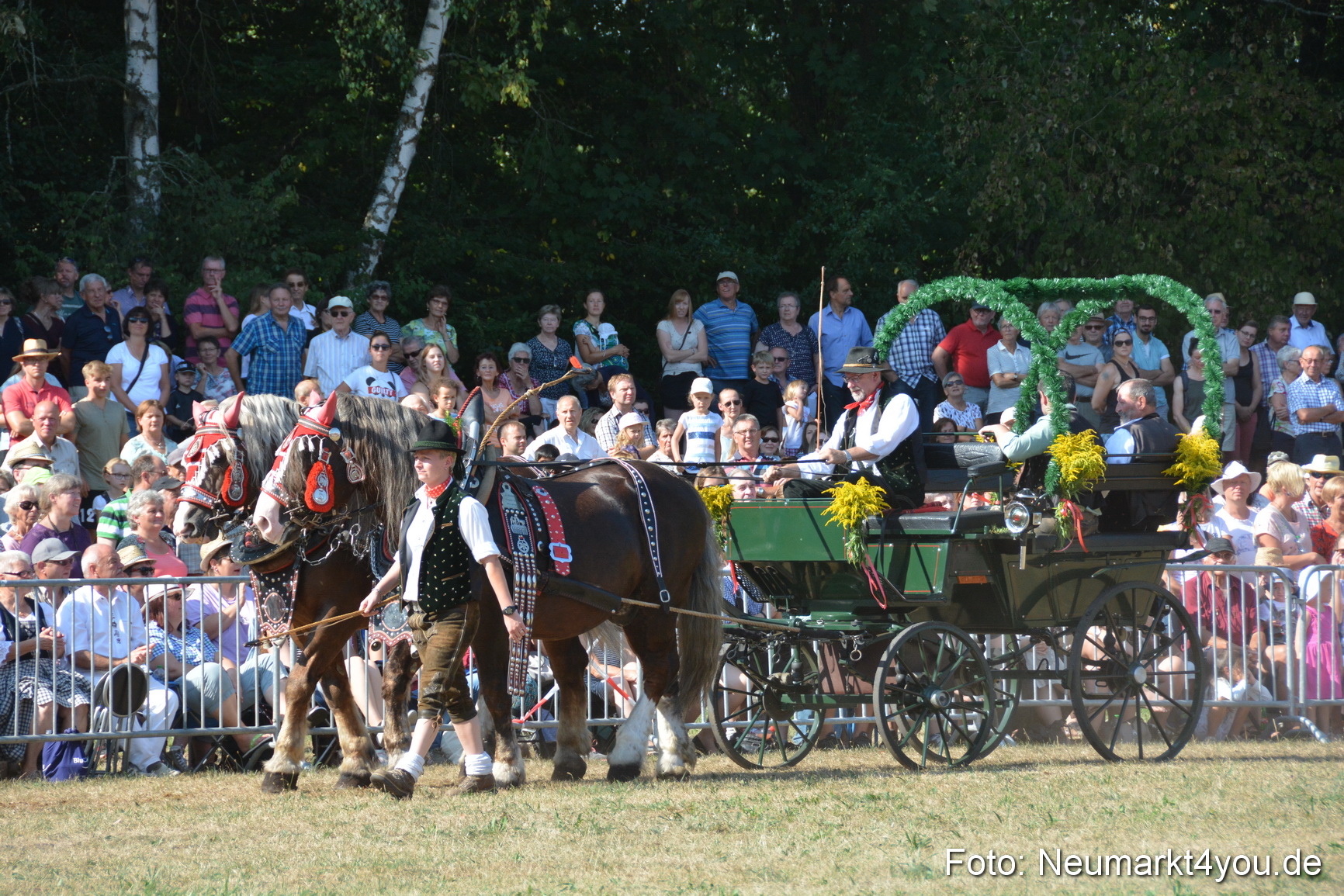 Pferde und Fohlenschau JURA Volksfest 2018 0176