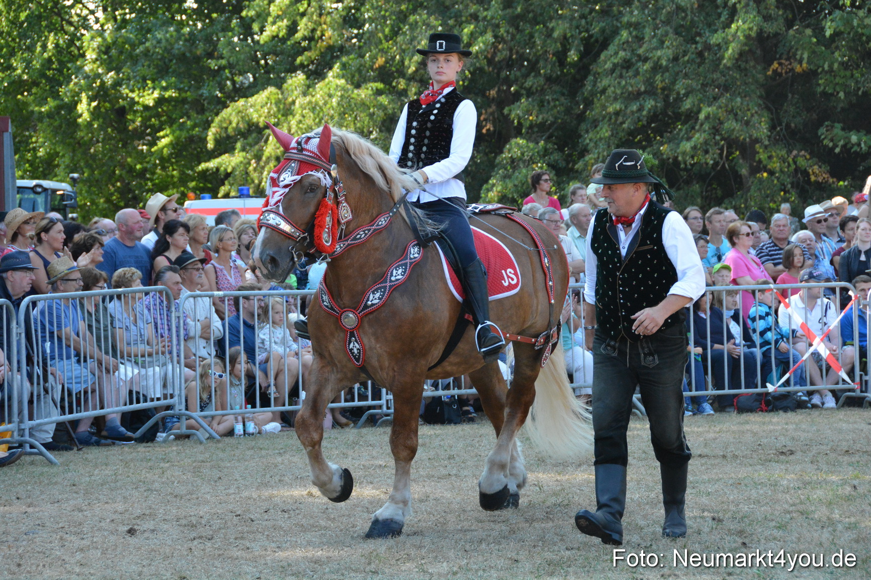 Pferde und Fohlenschau JURA Volksfest 2018 0177
