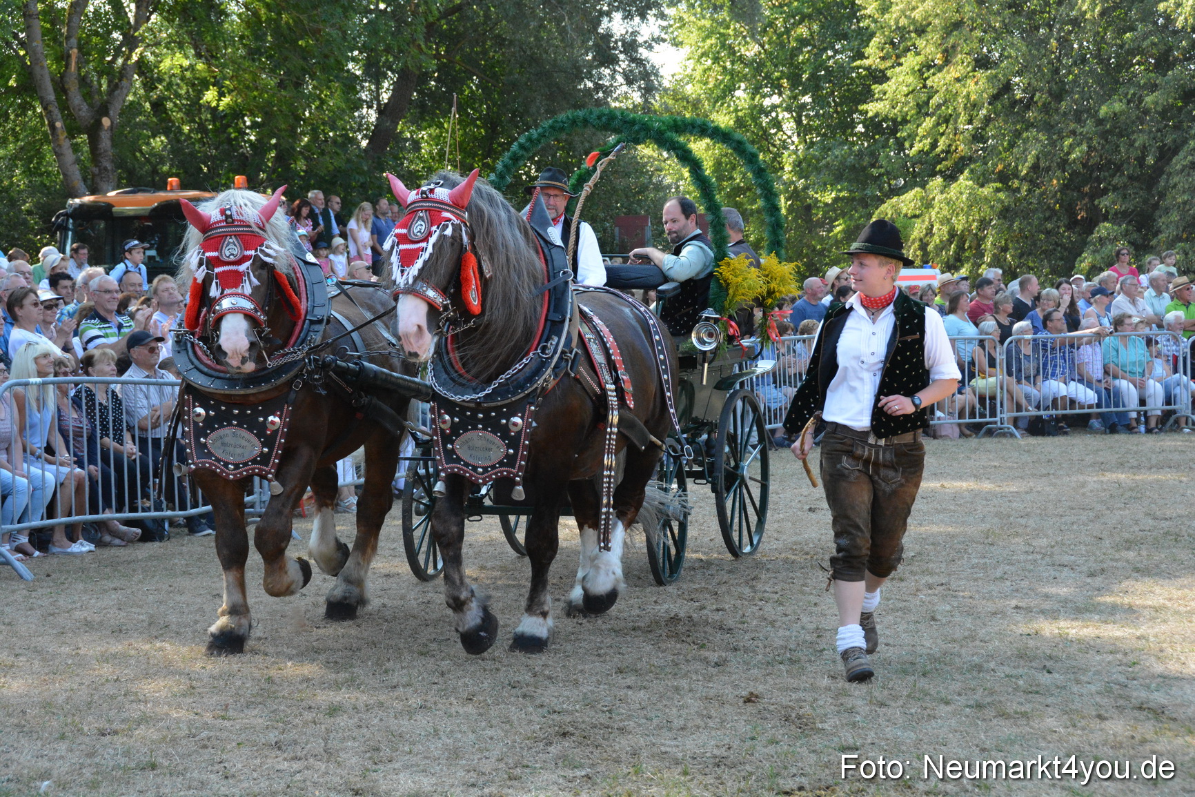 Pferde und Fohlenschau JURA Volksfest 2018 0178