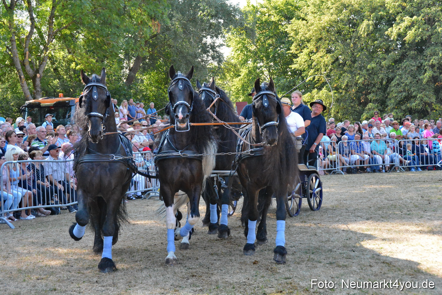 Pferde und Fohlenschau JURA Volksfest 2018 0179