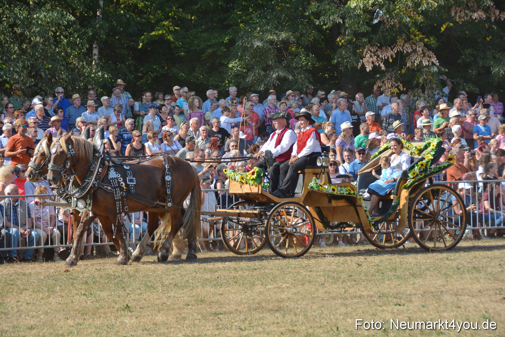 Pferde und Fohlenschau JURA Volksfest 2018 0180