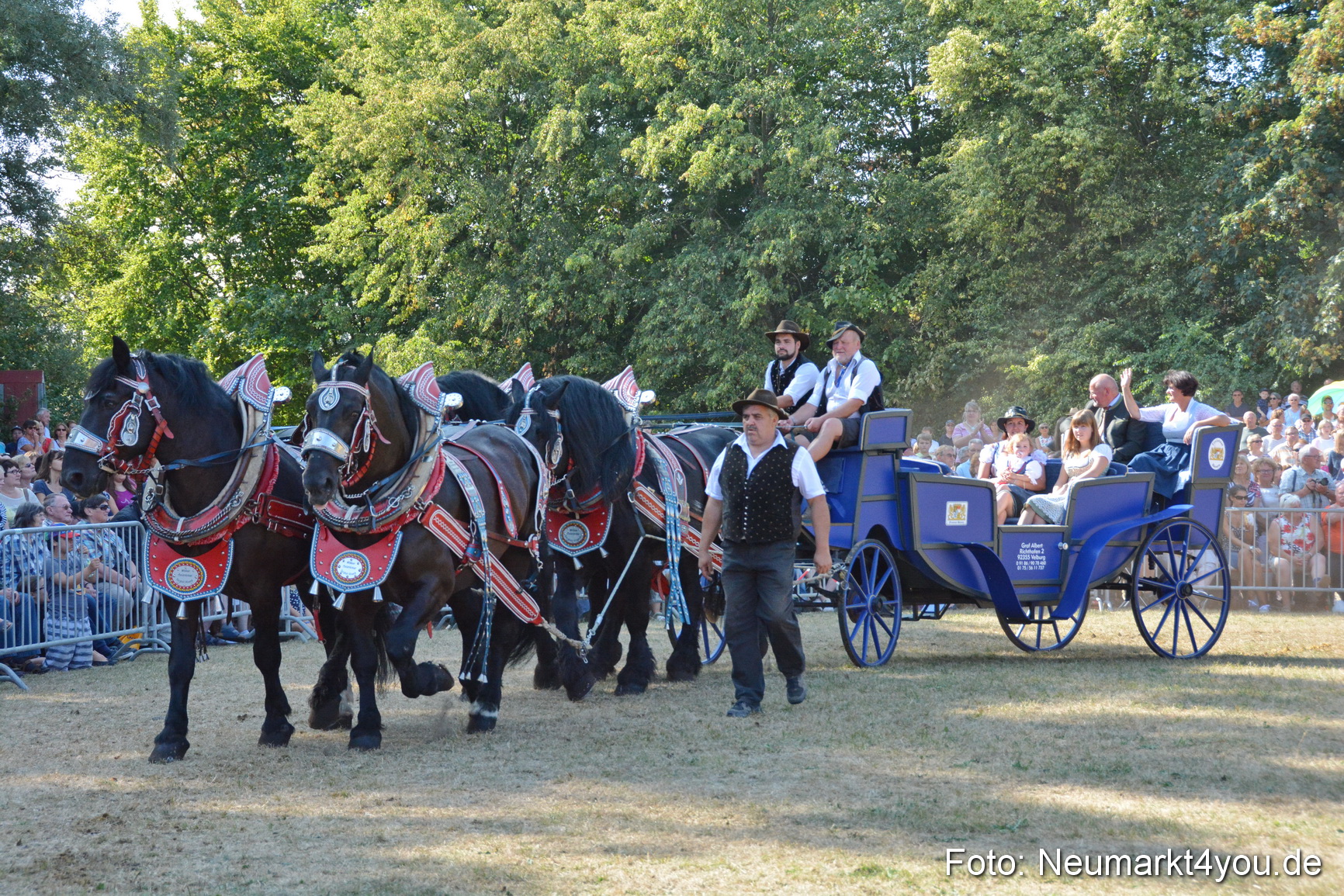 Pferde und Fohlenschau JURA Volksfest 2018 0181