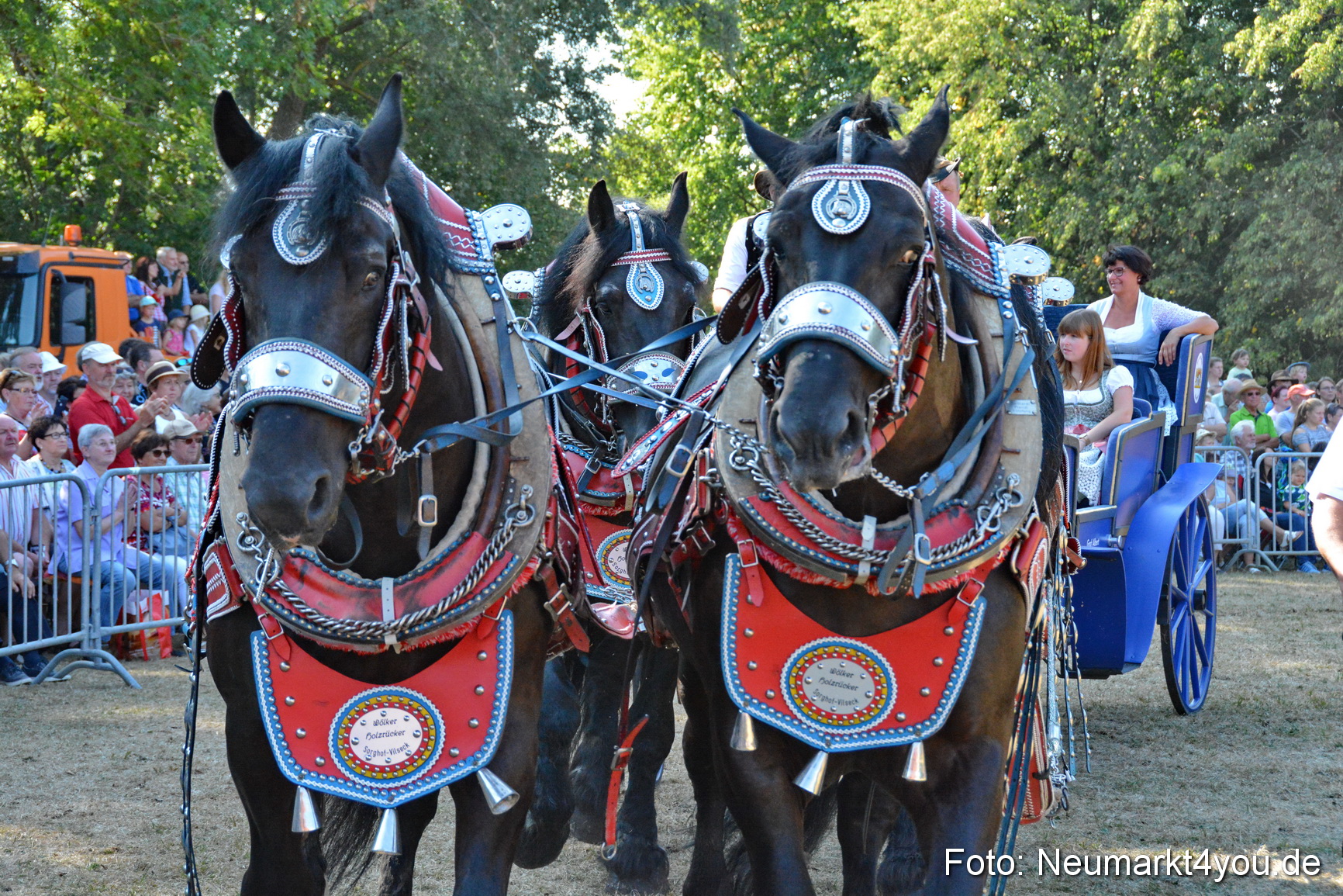Pferde und Fohlenschau JURA Volksfest 2018 0182