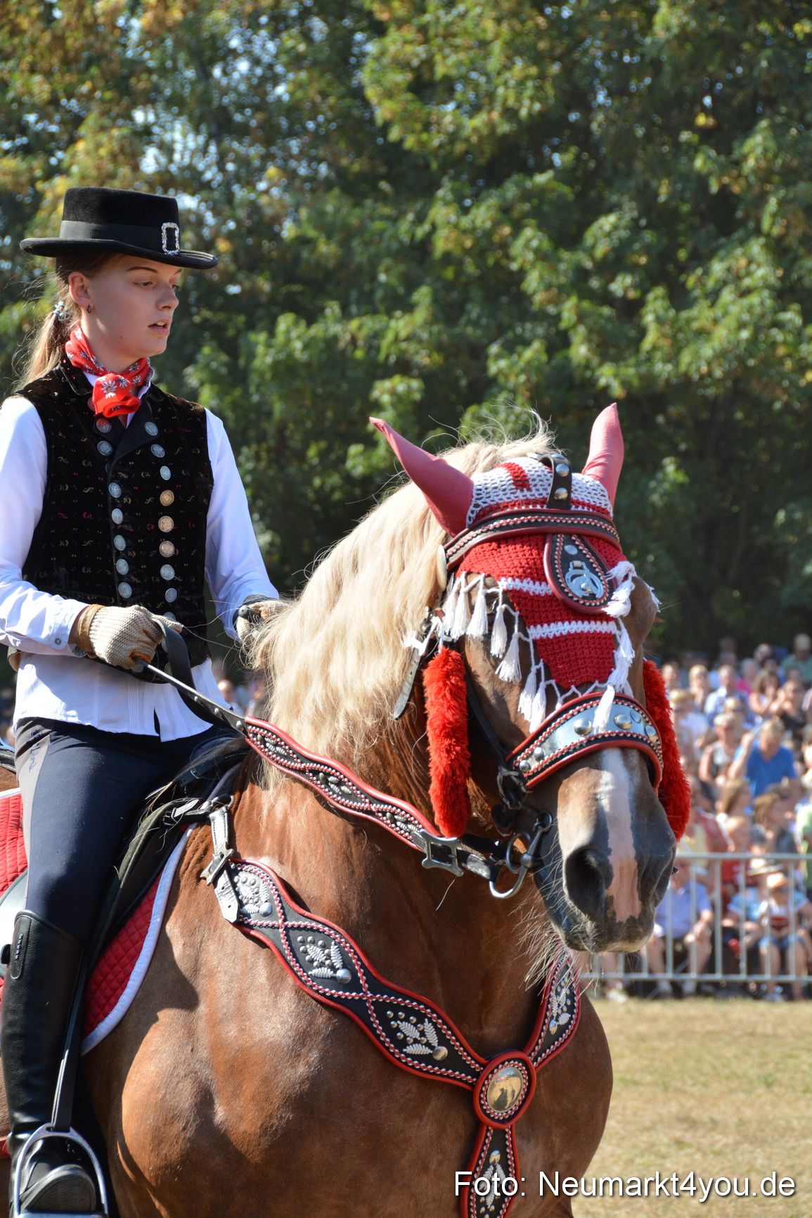 Pferde und Fohlenschau JURA Volksfest 2018 0188