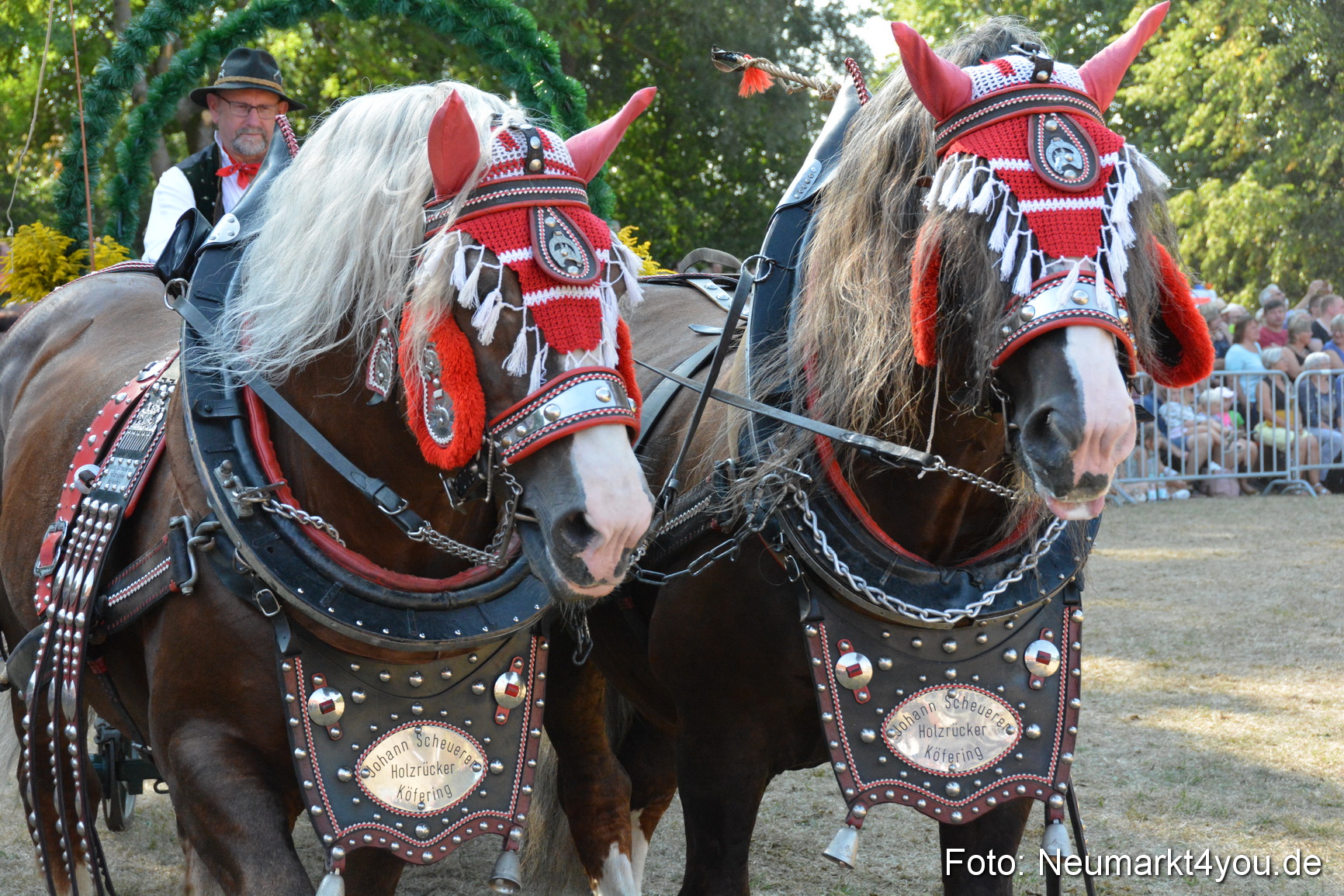 Pferde und Fohlenschau JURA Volksfest 2018 0192