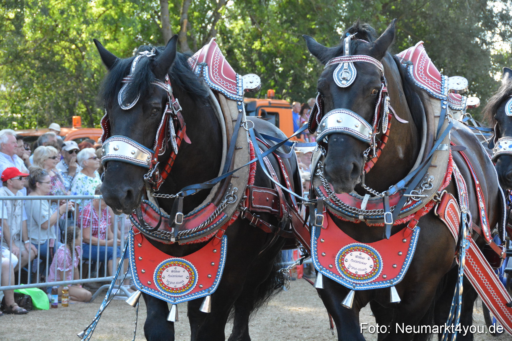 Pferde und Fohlenschau JURA Volksfest 2018 0195