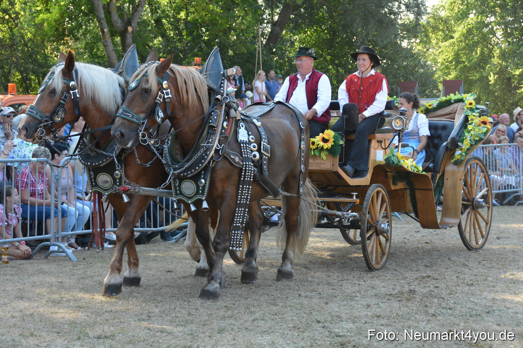 Pferde und Fohlenschau JURA Volksfest 2018 0196