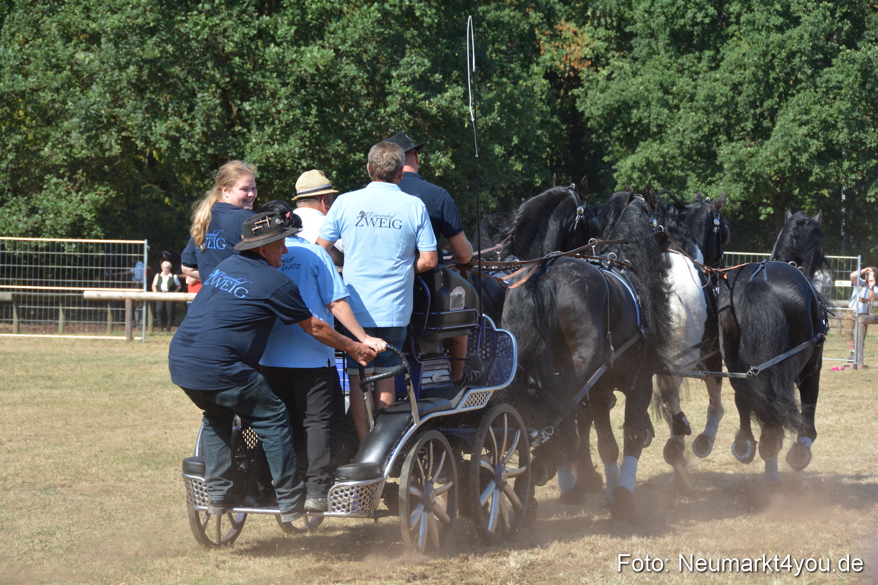 Pferde und Fohlenschau JURA Volksfest 2018 0200