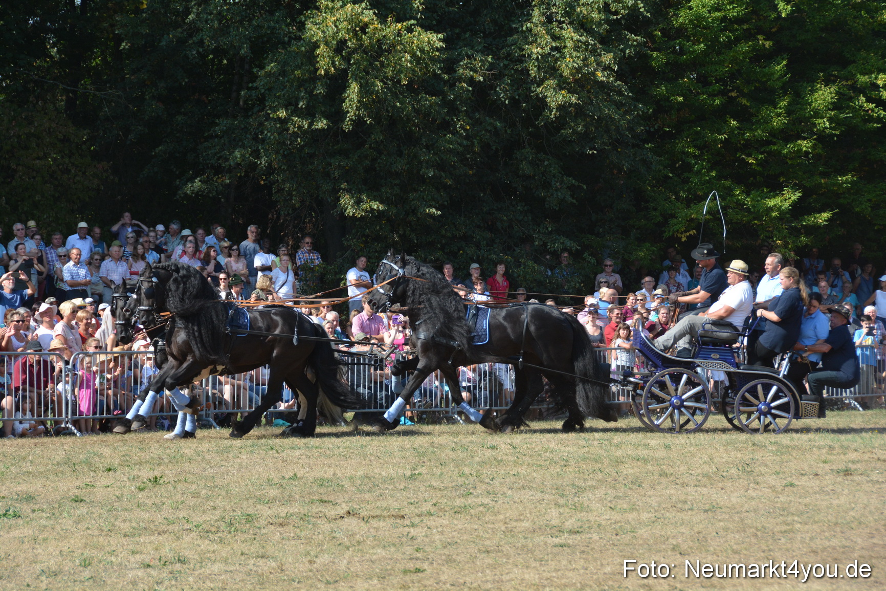 Pferde und Fohlenschau JURA Volksfest 2018 0201