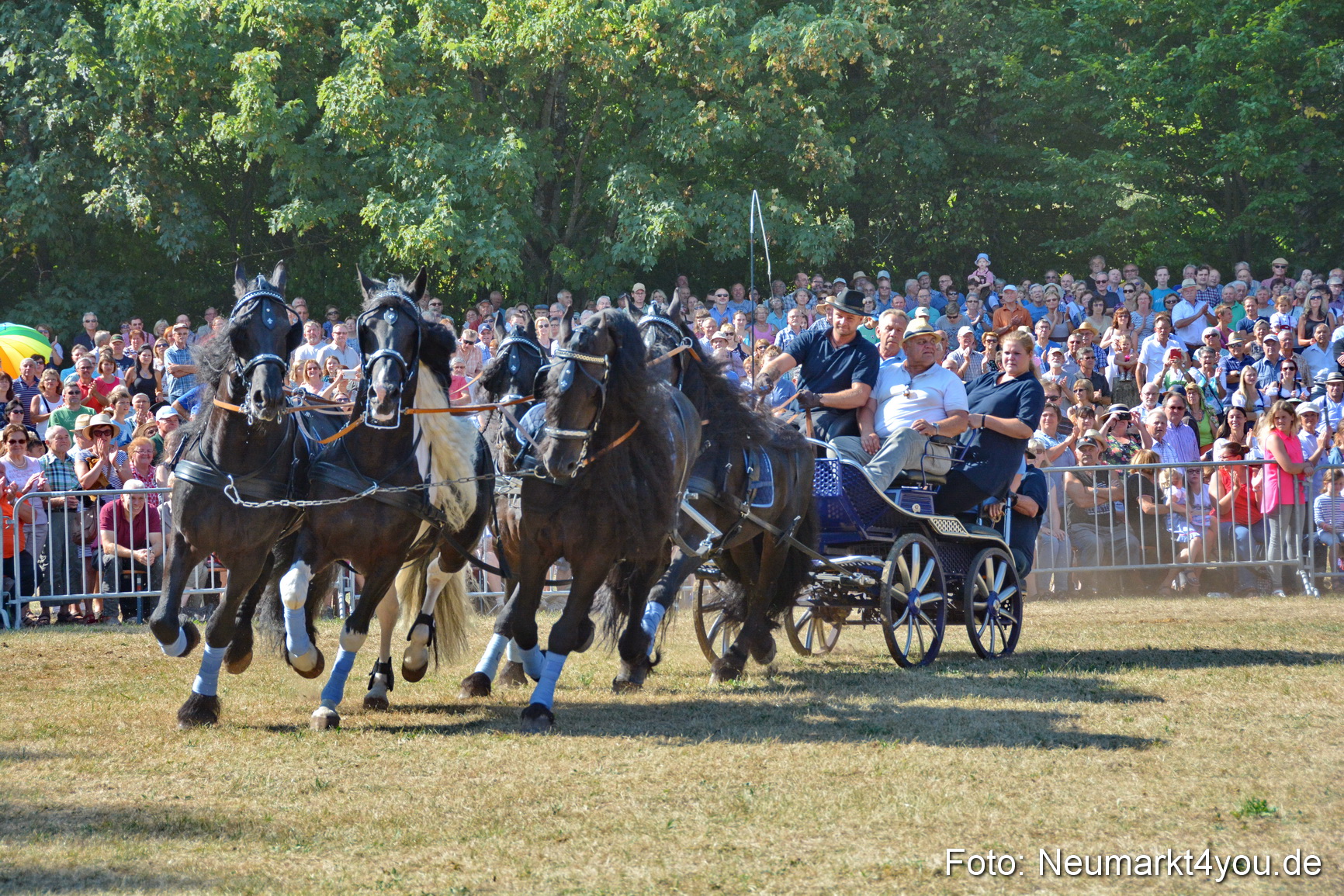 Pferde und Fohlenschau JURA Volksfest 2018 0202