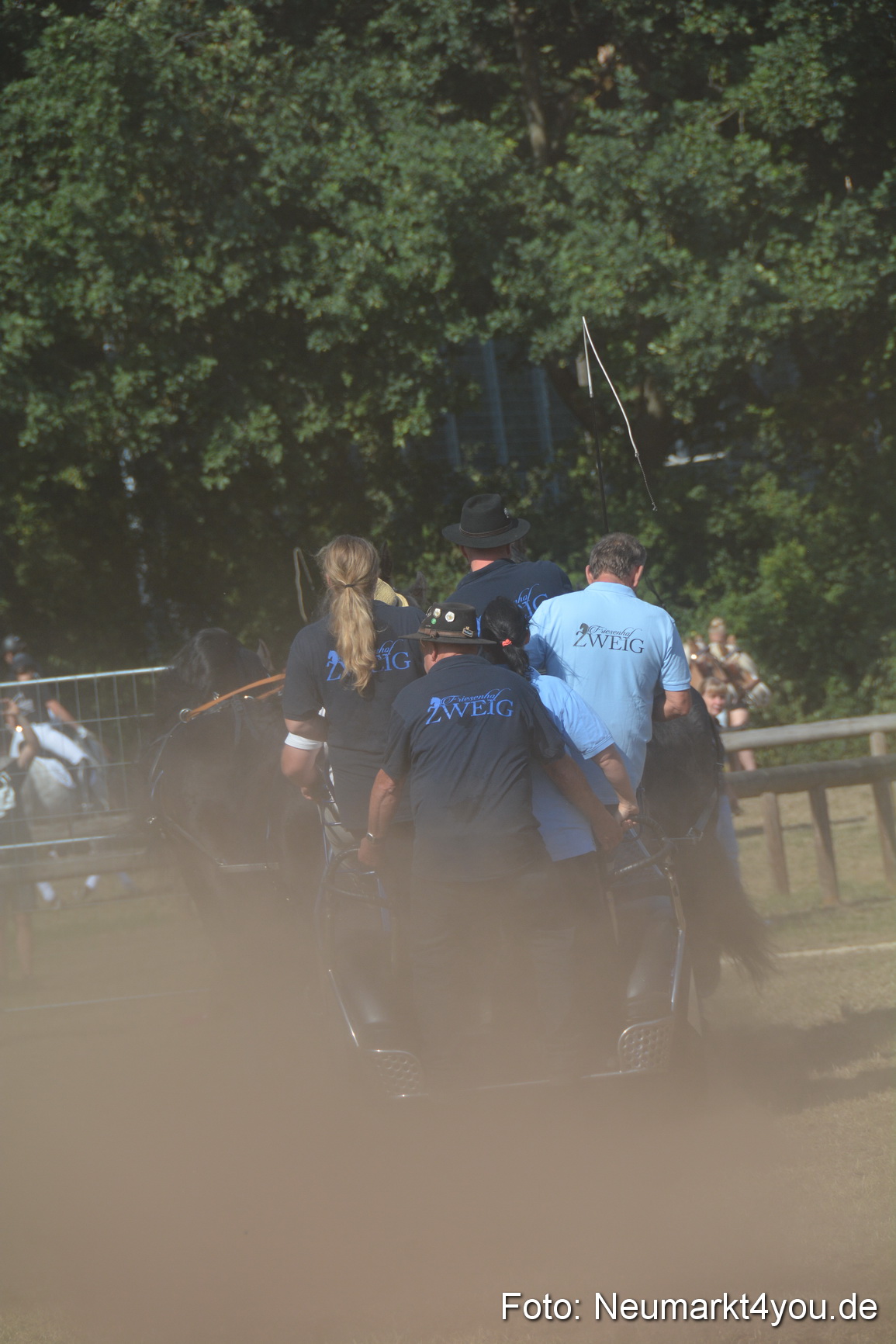 Pferde und Fohlenschau JURA Volksfest 2018 0203