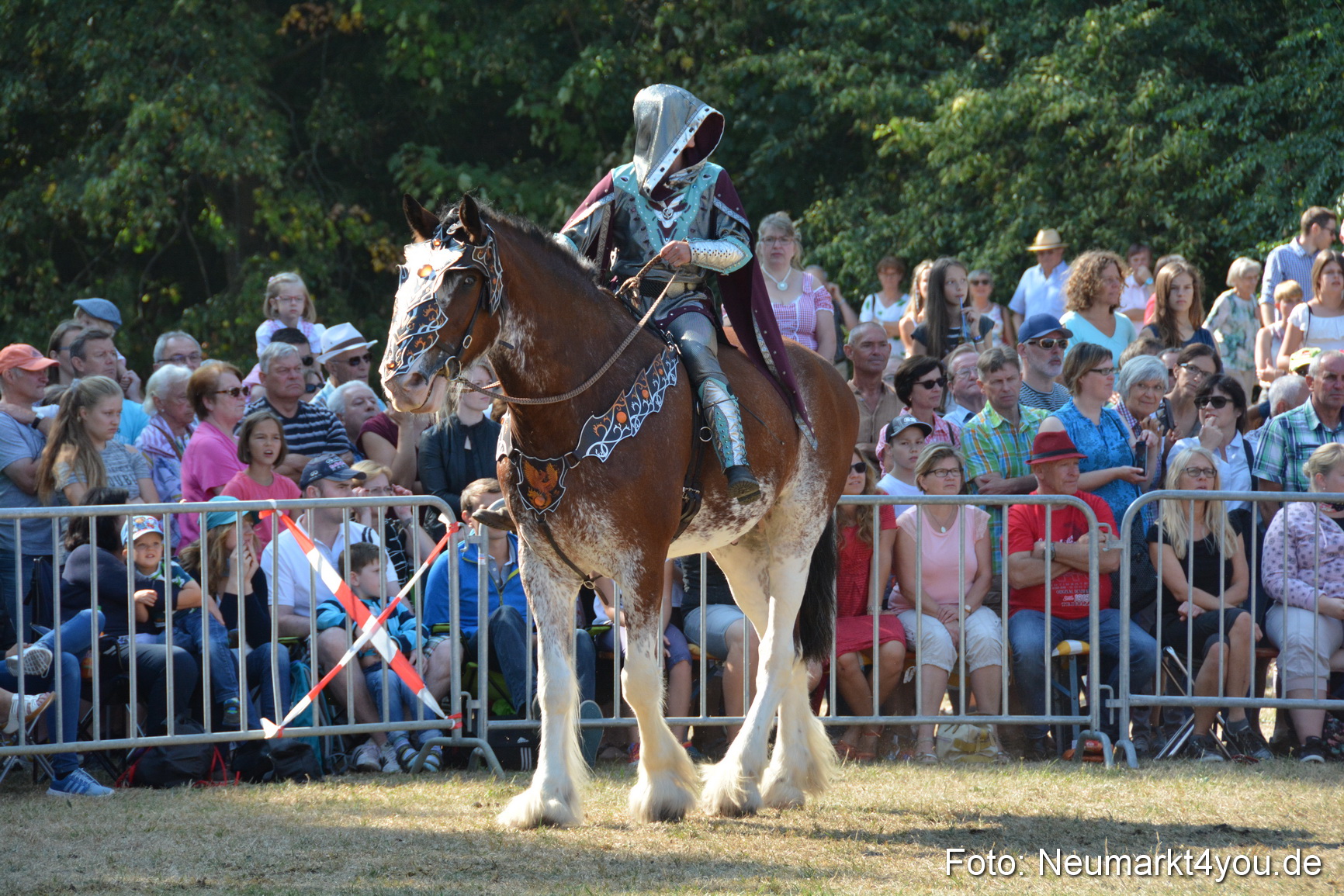 Pferde und Fohlenschau JURA Volksfest 2018 0208