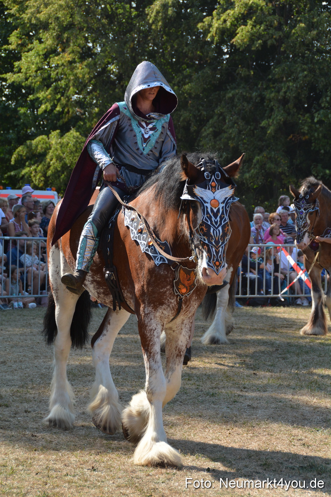 Pferde und Fohlenschau JURA Volksfest 2018 0213