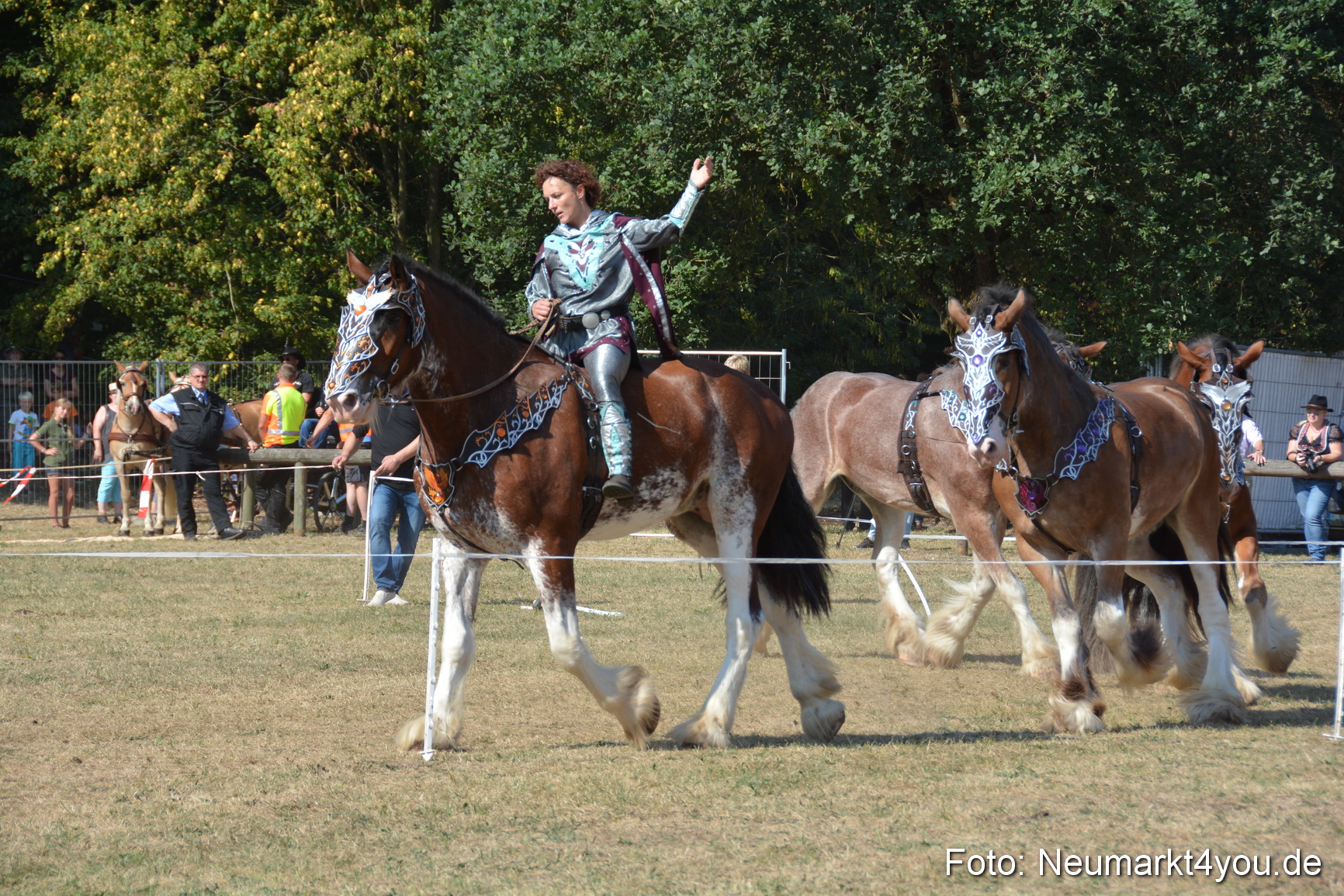 Pferde und Fohlenschau JURA Volksfest 2018 0215